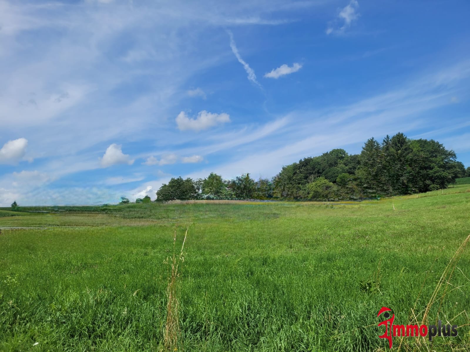 HAGENTHAL-LE-BAS ! Rare ! Grand terrain de 35 ares.