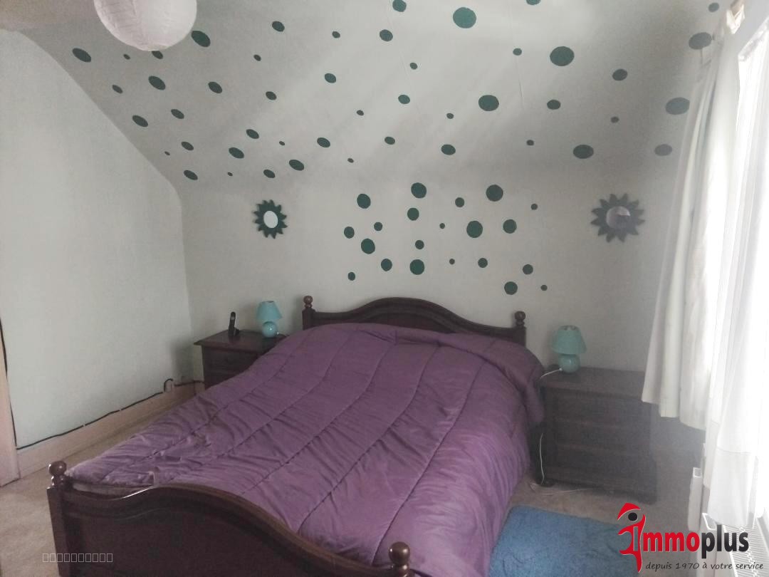 Maison 160 m2 Kembs- Loechlé avec dépendance — photo 6