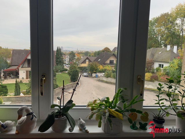 RARE MAISON DE STANDING SITUÉE AU REBBERG DE DORNACH — photo 5