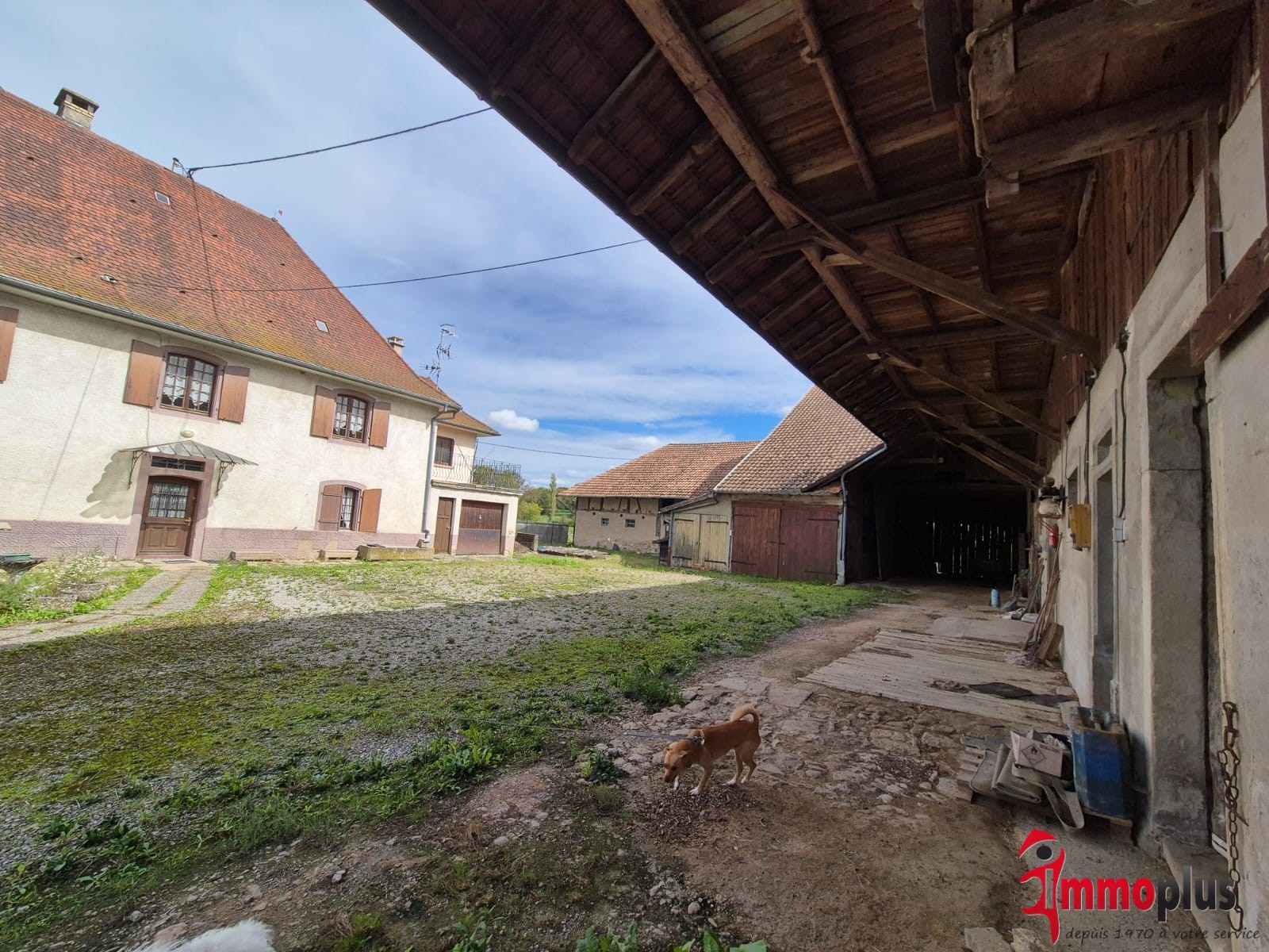 Splendide bâtisse ancienne de 190m2 sur 24 ares avec 650 m2 de dépendances . à Steinbrunn-Le-Haut — photo 4
