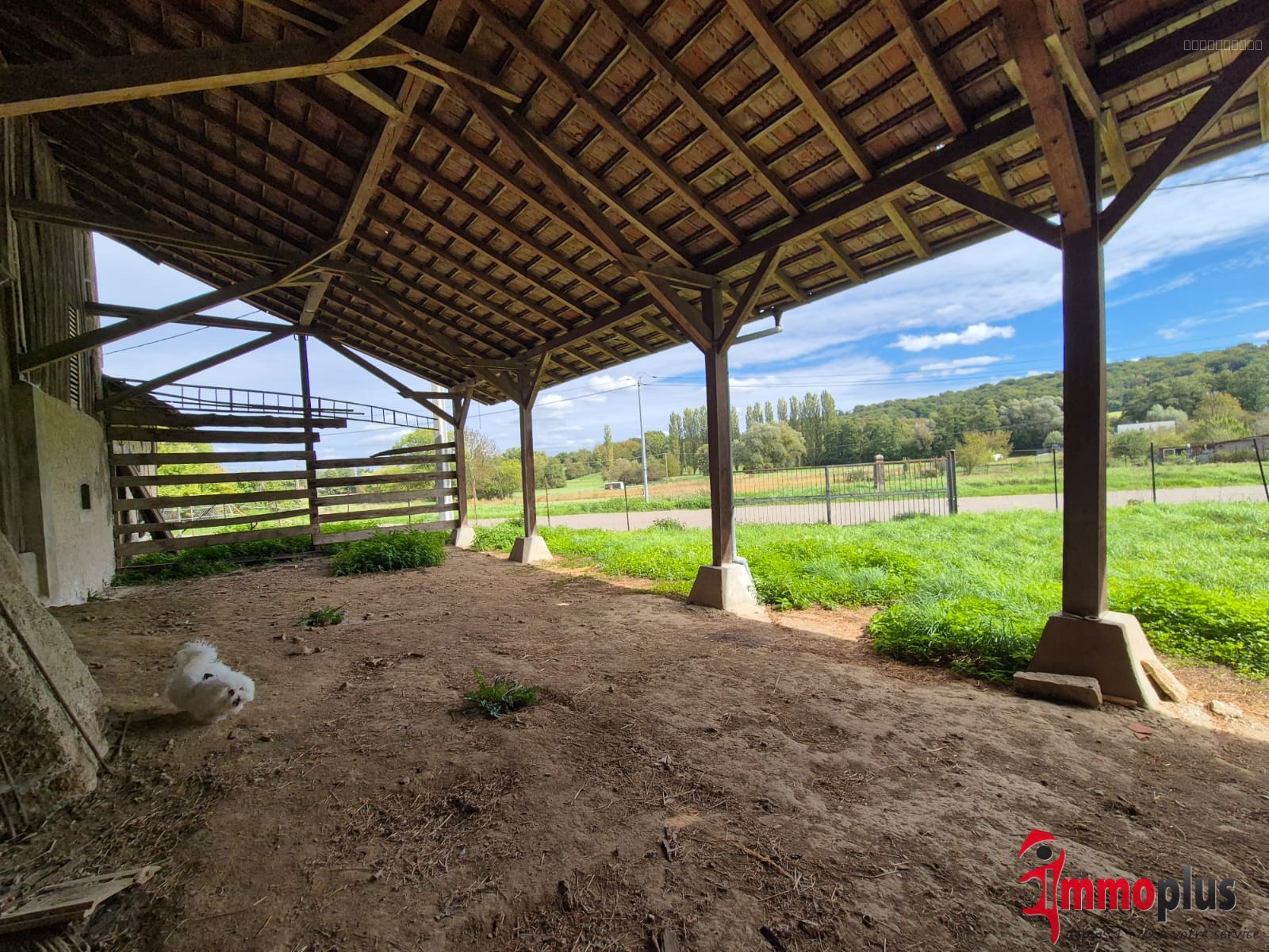Splendide bâtisse ancienne de 190m2 sur 24 ares avec 650 m2 de dépendances . à Steinbrunn-Le-Haut — photo 5