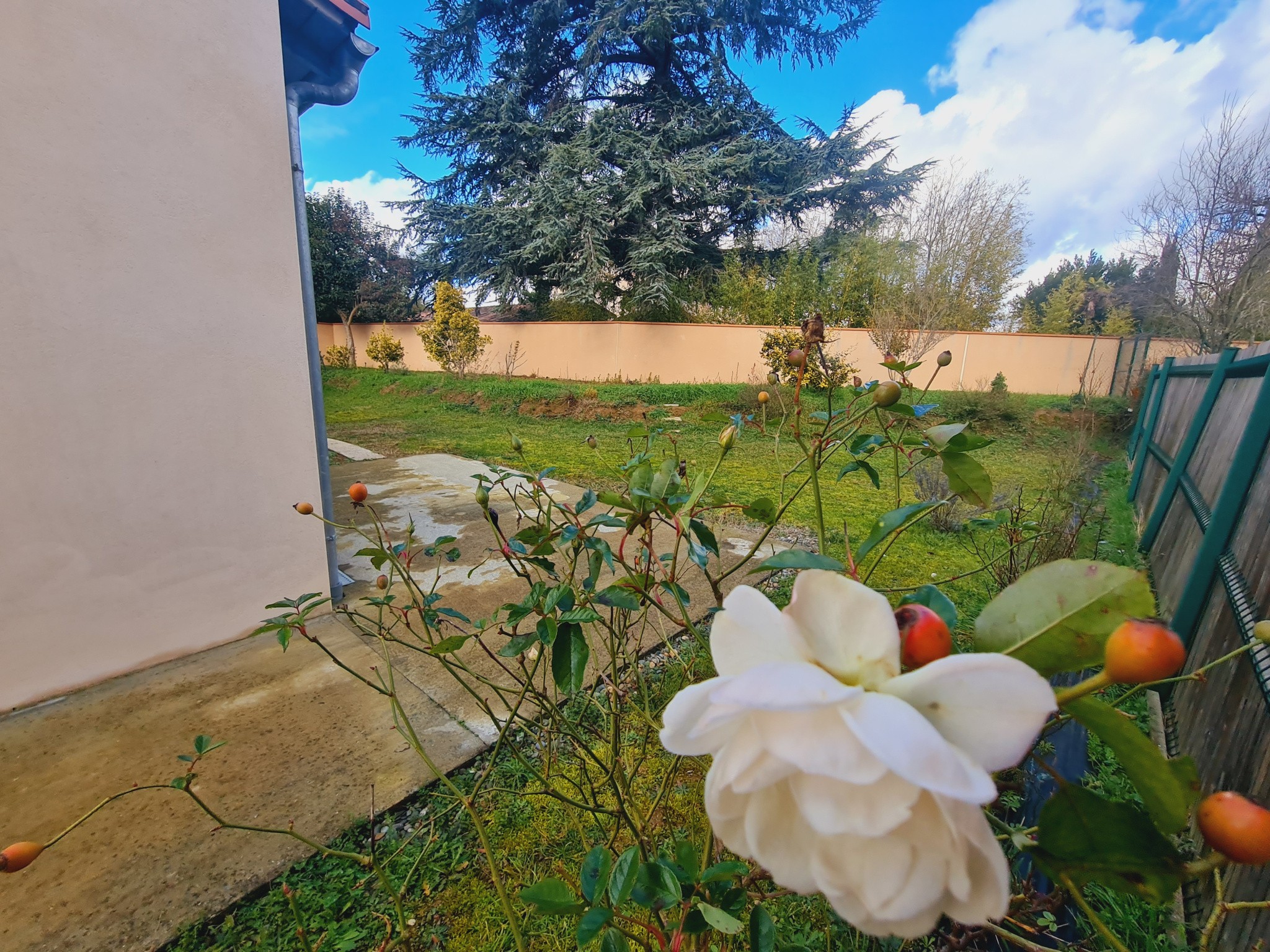 VILLA T4 AVEC GARAGE ET JARDIN DE 474M2 — photo 2