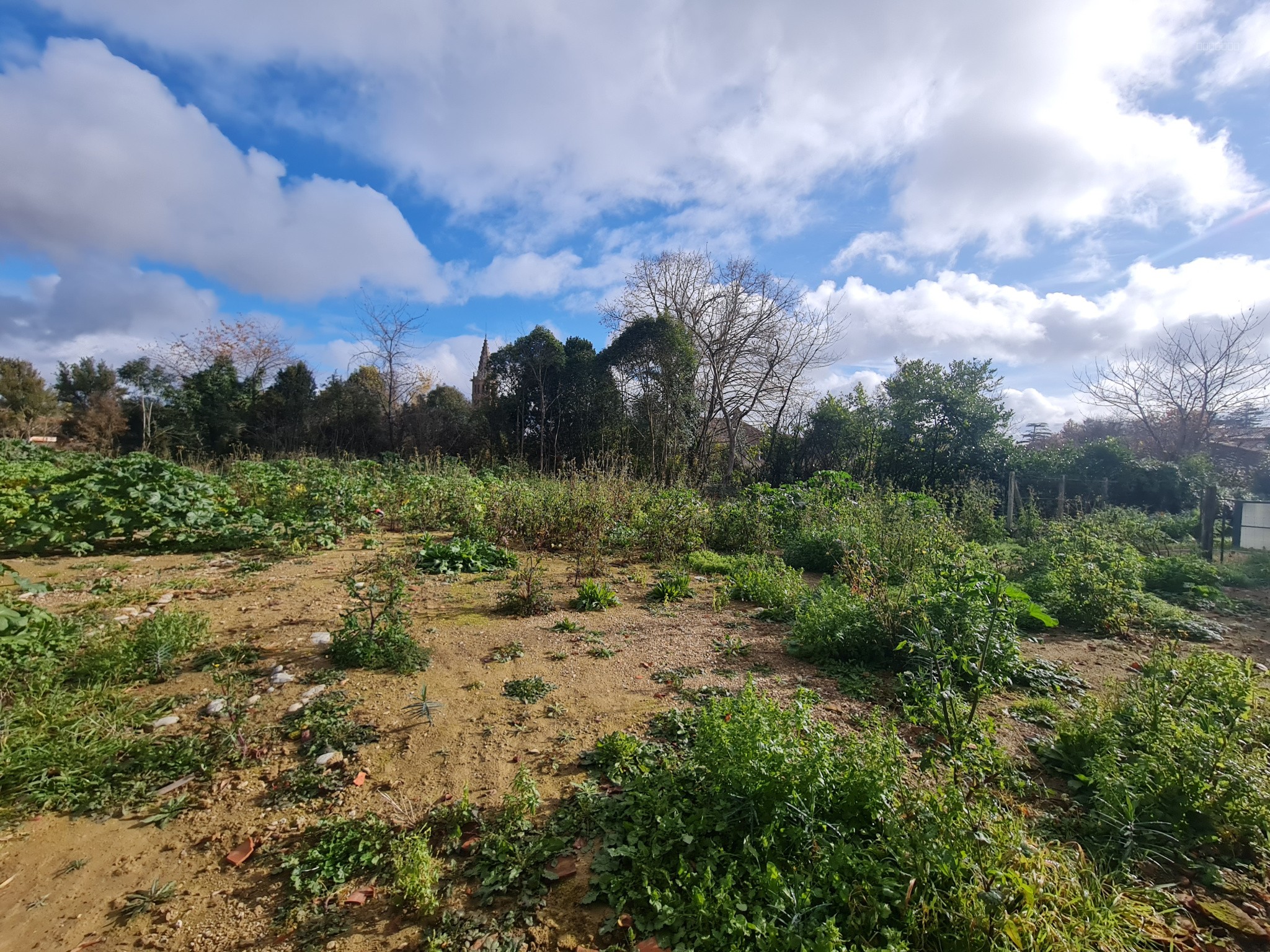 Un terrain constructible de 1487m2 — photo 5