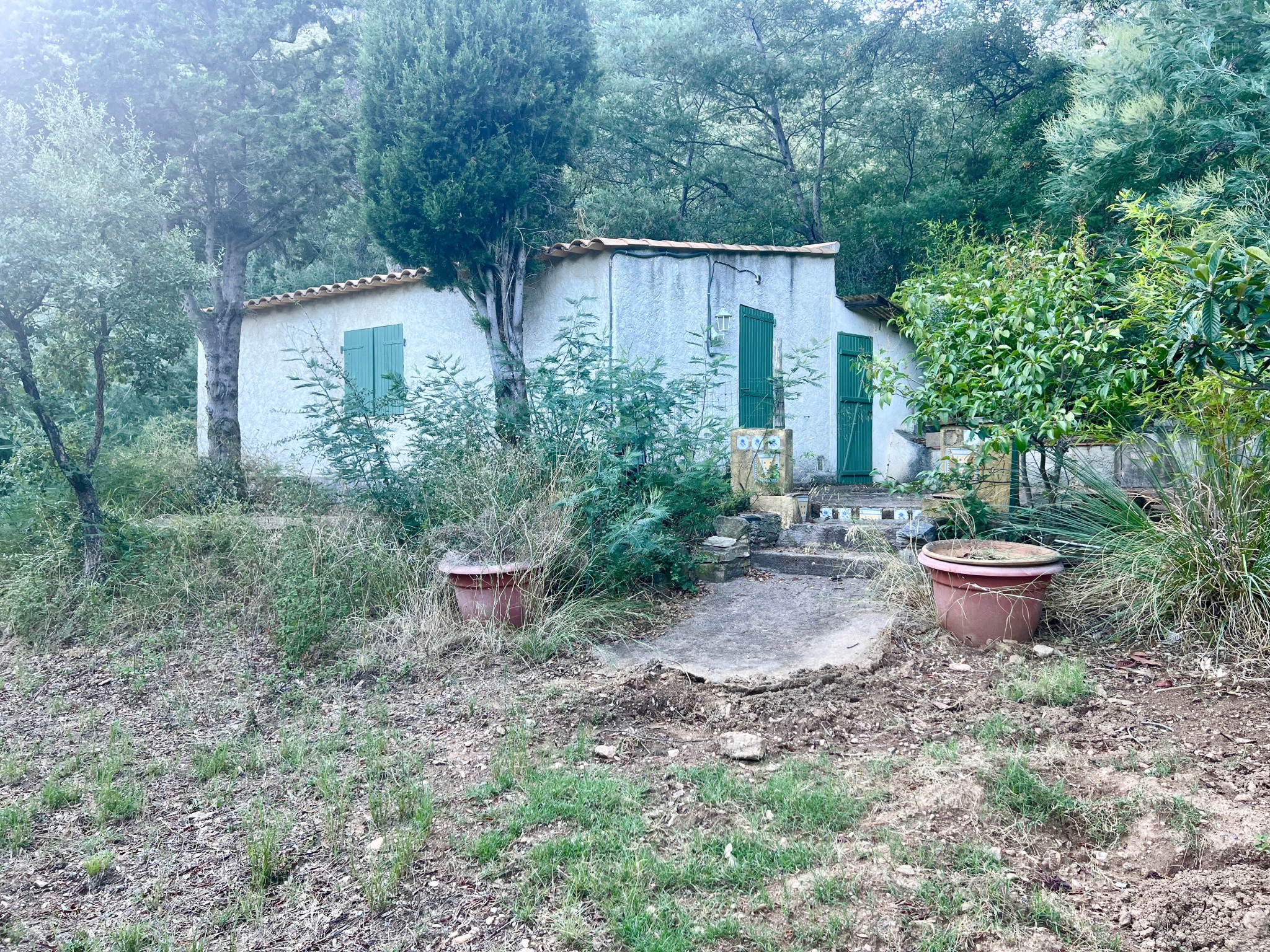 Maison et dépendances sur parcelle arborée de plus de 15 000 M2 — photo 3