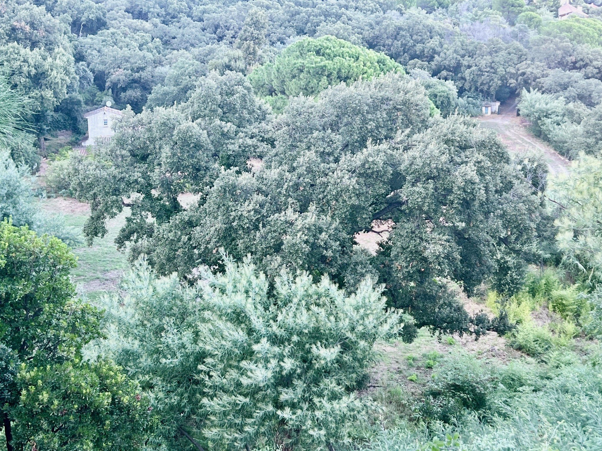 Maison et dépendances sur parcelle arborée de plus de 15 000 M2 — photo 13