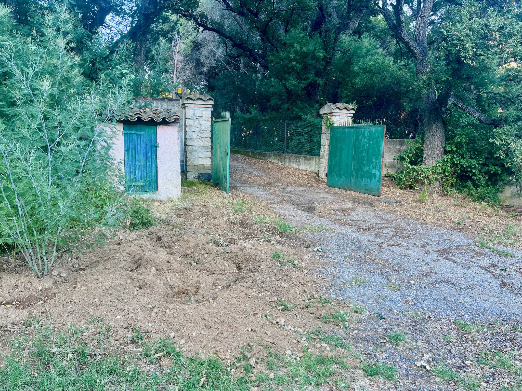Maison et dépendances sur parcelle arborée de plus de 15 000 M2 — photo 12