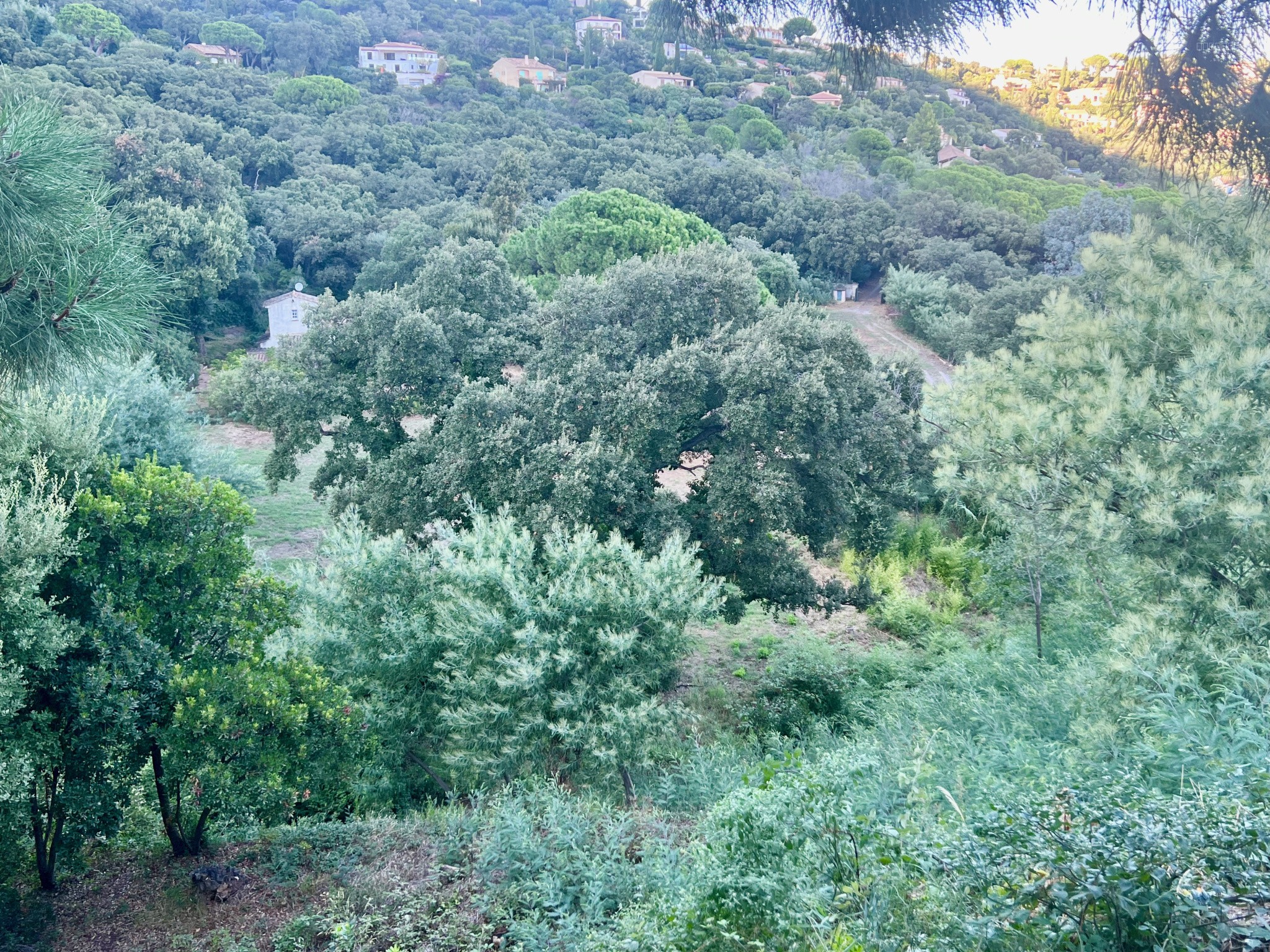 Maison et dépendances sur parcelle arborée de plus de 15 000 M2 — photo 17