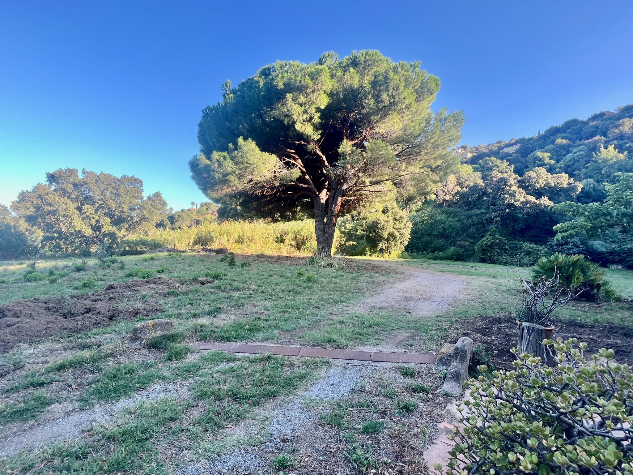 Maison et dépendances sur parcelle arborée de plus de 15 000 M2 — photo 2