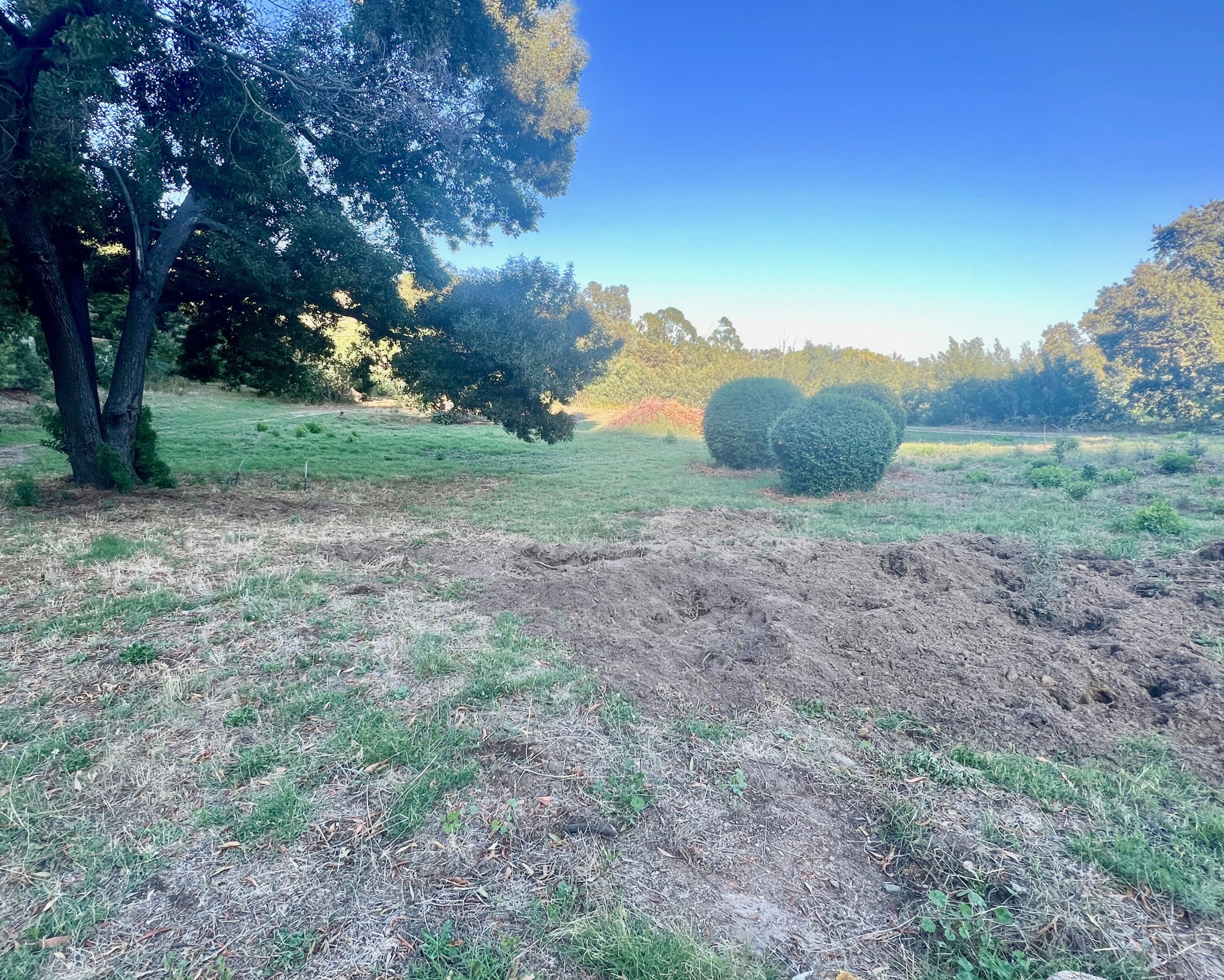Maison et dépendances sur parcelle arborée de plus de 15 000 M2 — photo 4