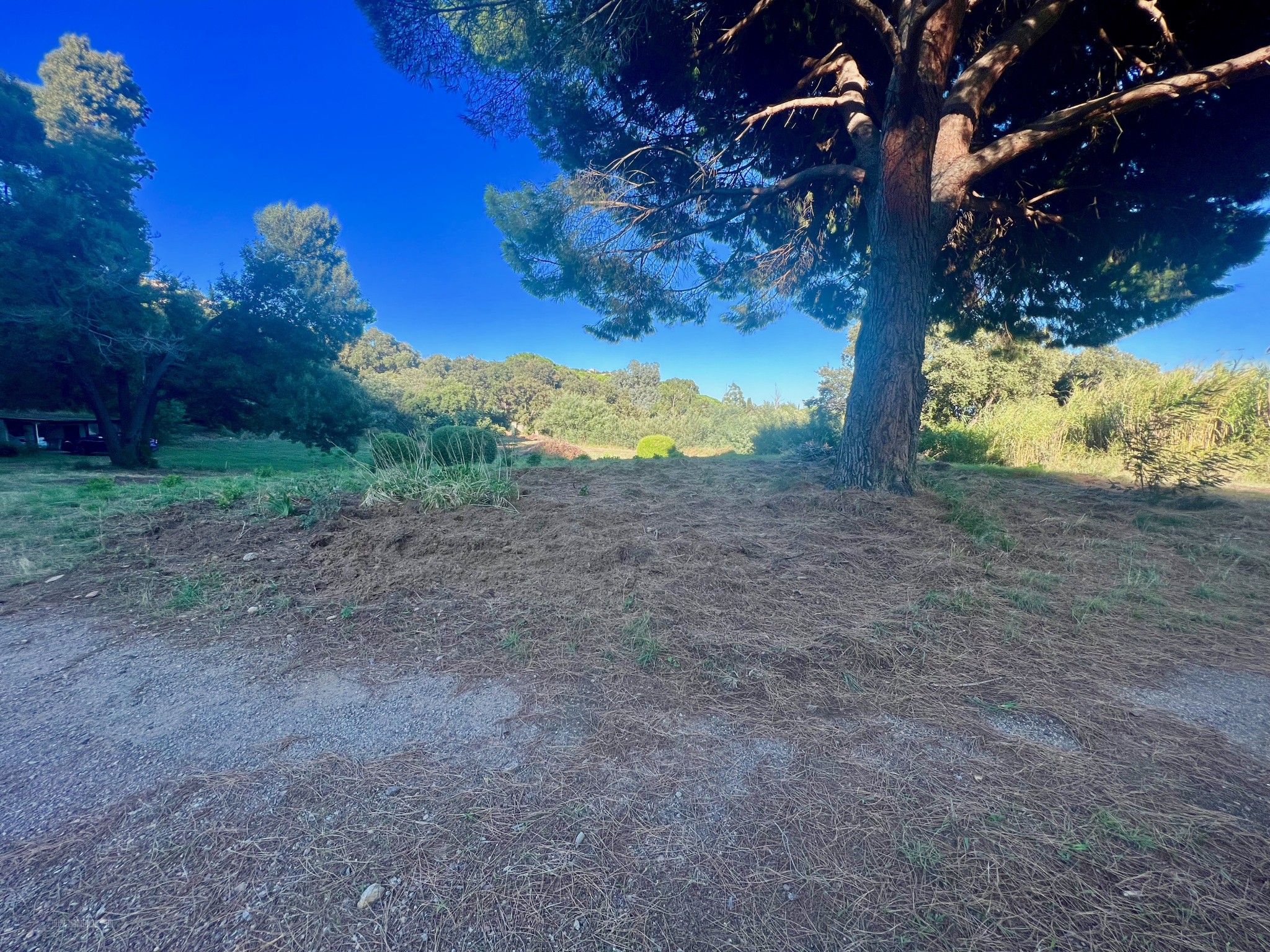 Maison et dépendances sur parcelle arborée de plus de 15 000 M2 — photo 6