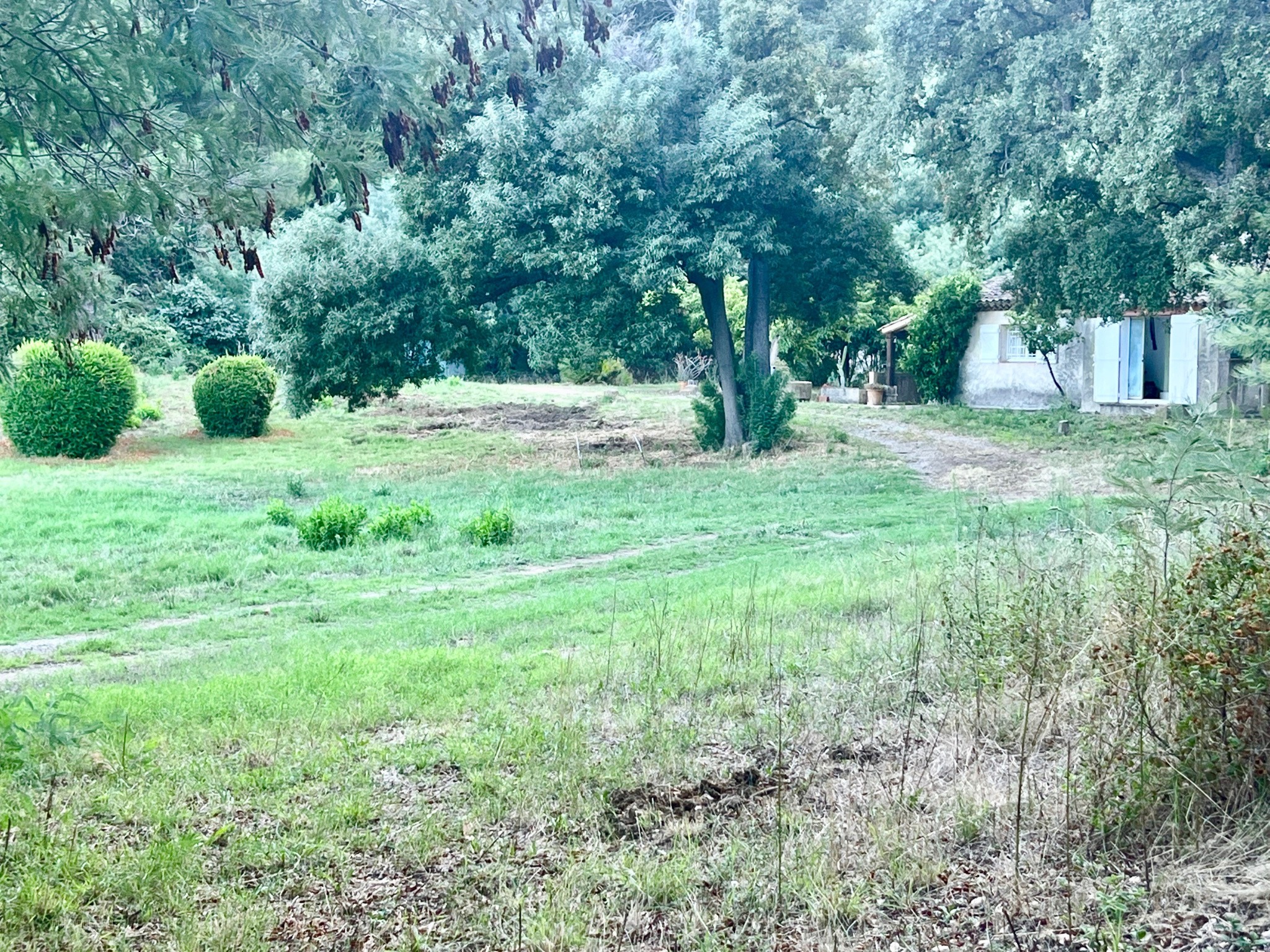 Maison et dépendances sur parcelle arborée de plus de 15 000 M2 — photo 18