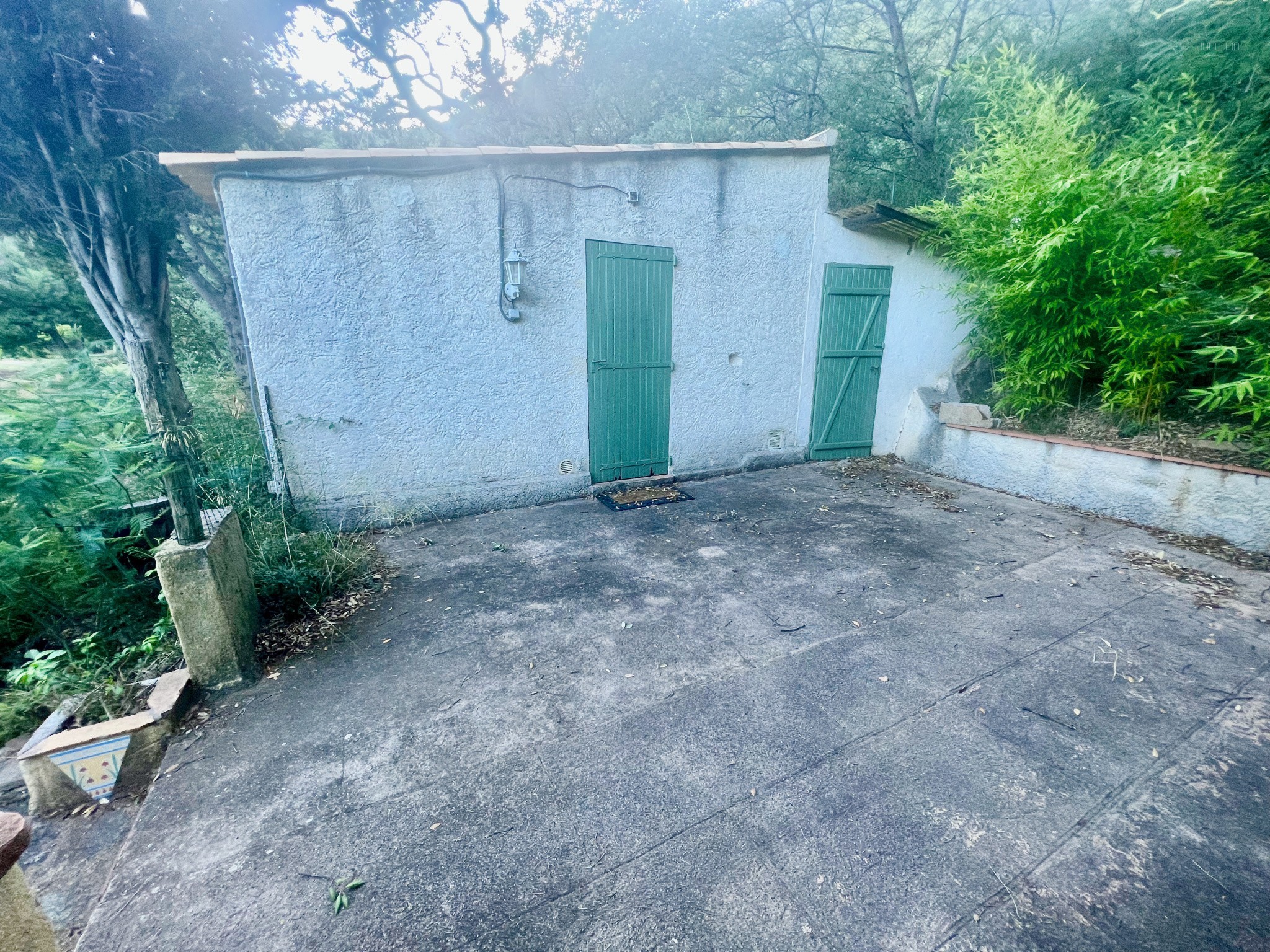 Maison et dépendances sur parcelle arborée de plus de 15 000 M2 — photo 15