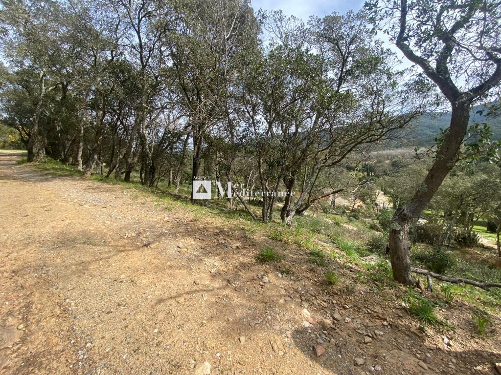 TERRAIN CONSTRUCTIBLE - COGOLIN (83310) — photo 4