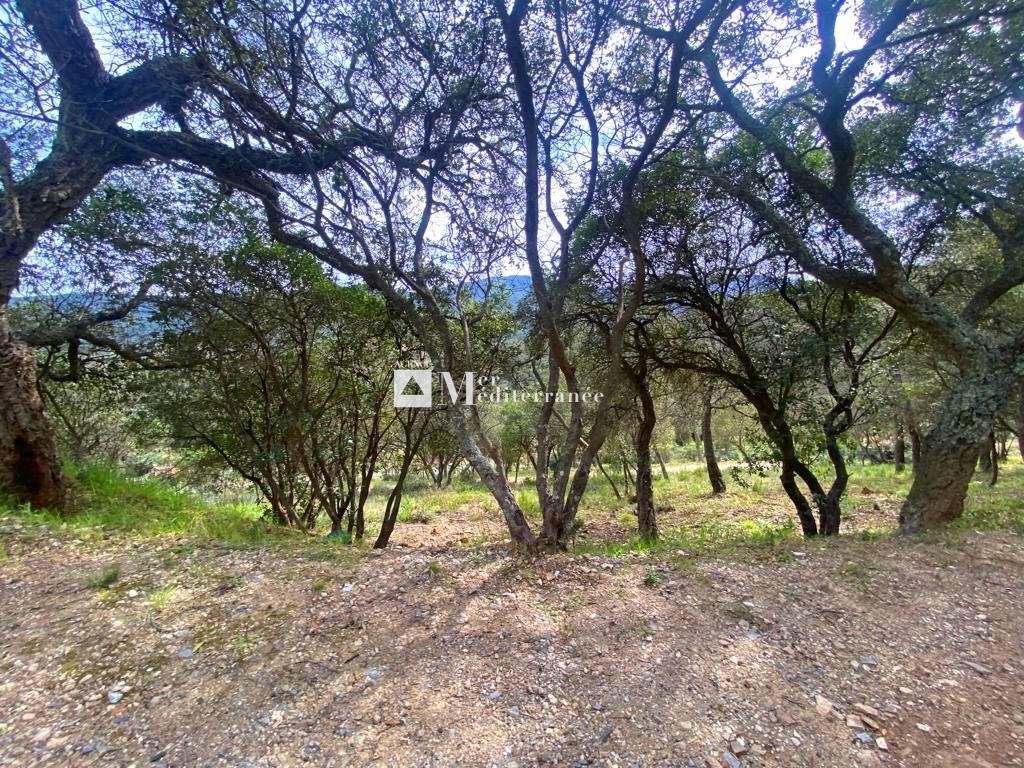 TERRAIN CONSTRUCTIBLE - COGOLIN (83310) — photo 5