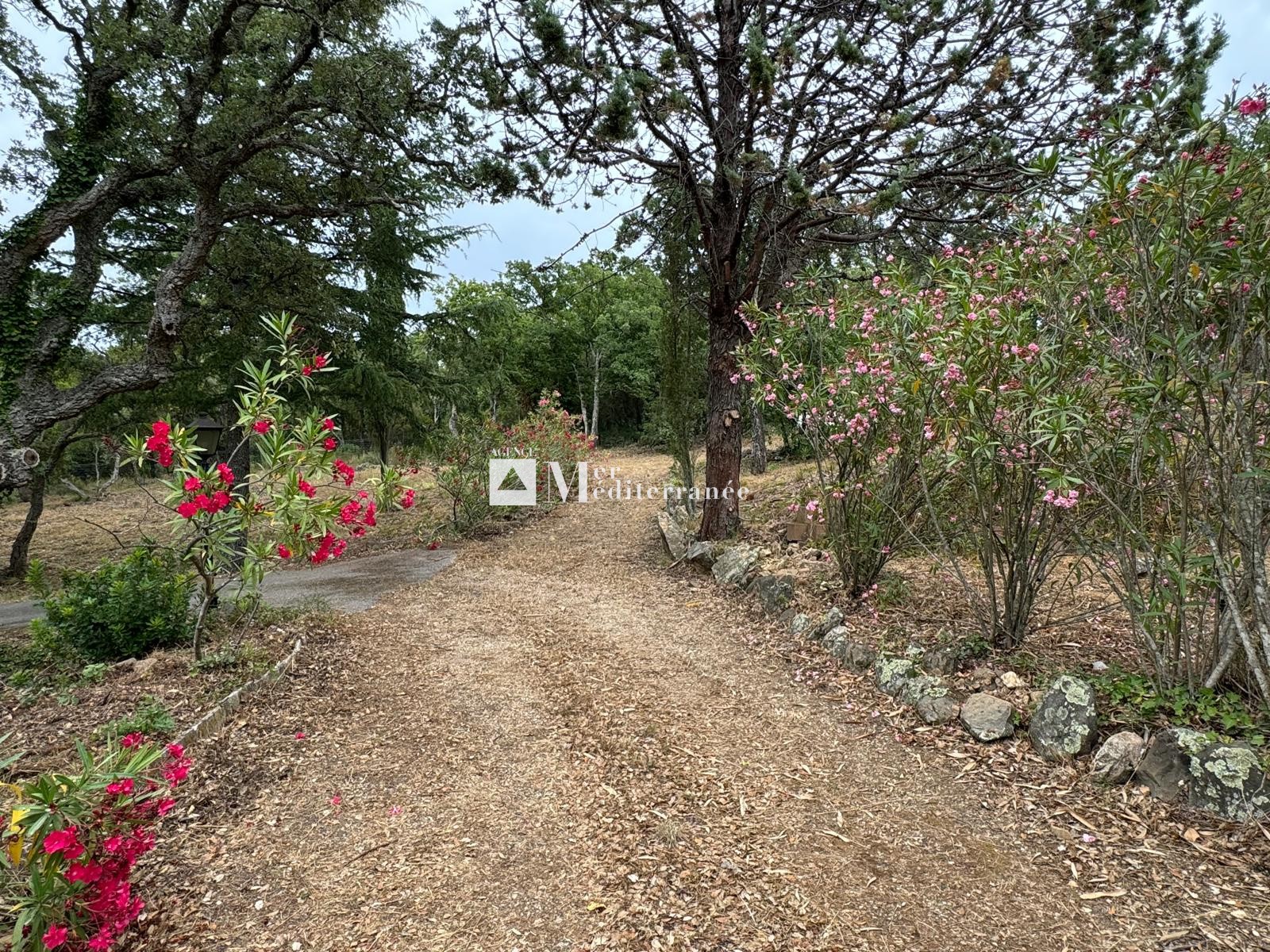 À VENDRE - PROPRIÉTÉ DE 6,3 HECTARES, MAISON DE PLAIN-PIED + APPARTEMENT SUR LA MÔLE (83310) — photo 6