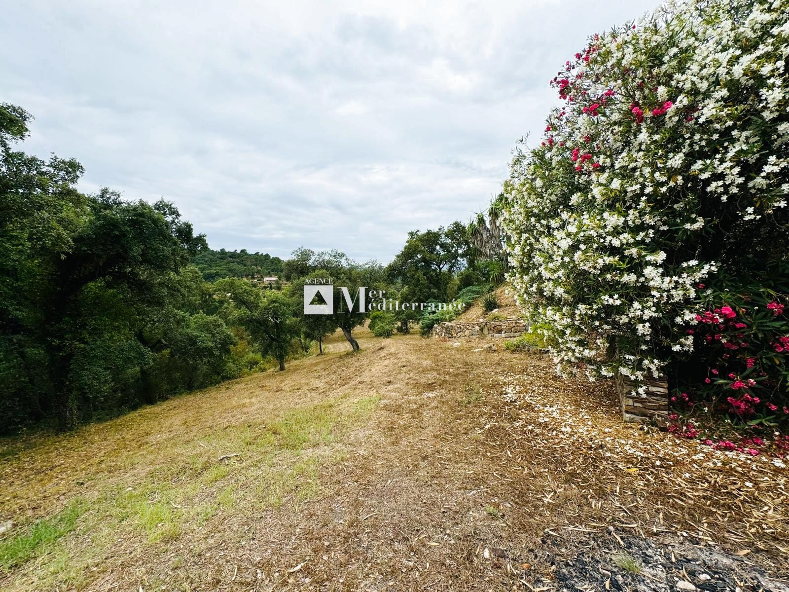 À VENDRE - PROPRIÉTÉ DE 6,3 HECTARES, MAISON DE PLAIN-PIED + APPARTEMENT SUR LA MÔLE (83310) — photo 5