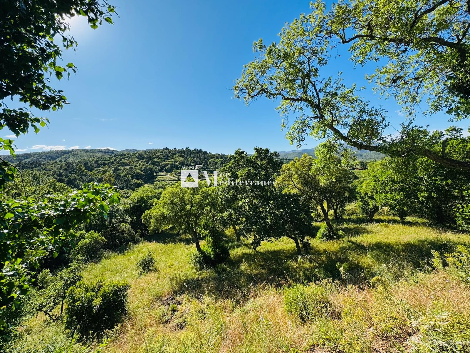 À VENDRE - PROPRIÉTÉ DE 6,3 HECTARES, MAISON DE PLAIN-PIED + APPARTEMENT SUR LA MÔLE (83310) — photo 3