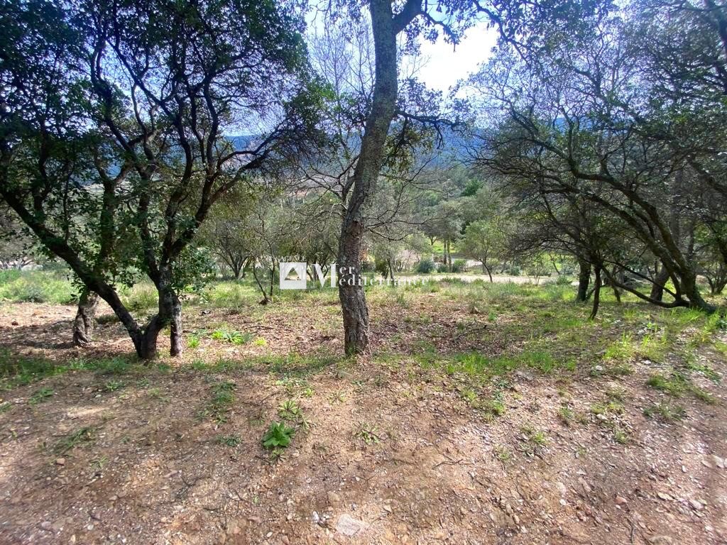 TERRAIN CONSTRUCTIBLE - COGOLIN (83310) — photo 3