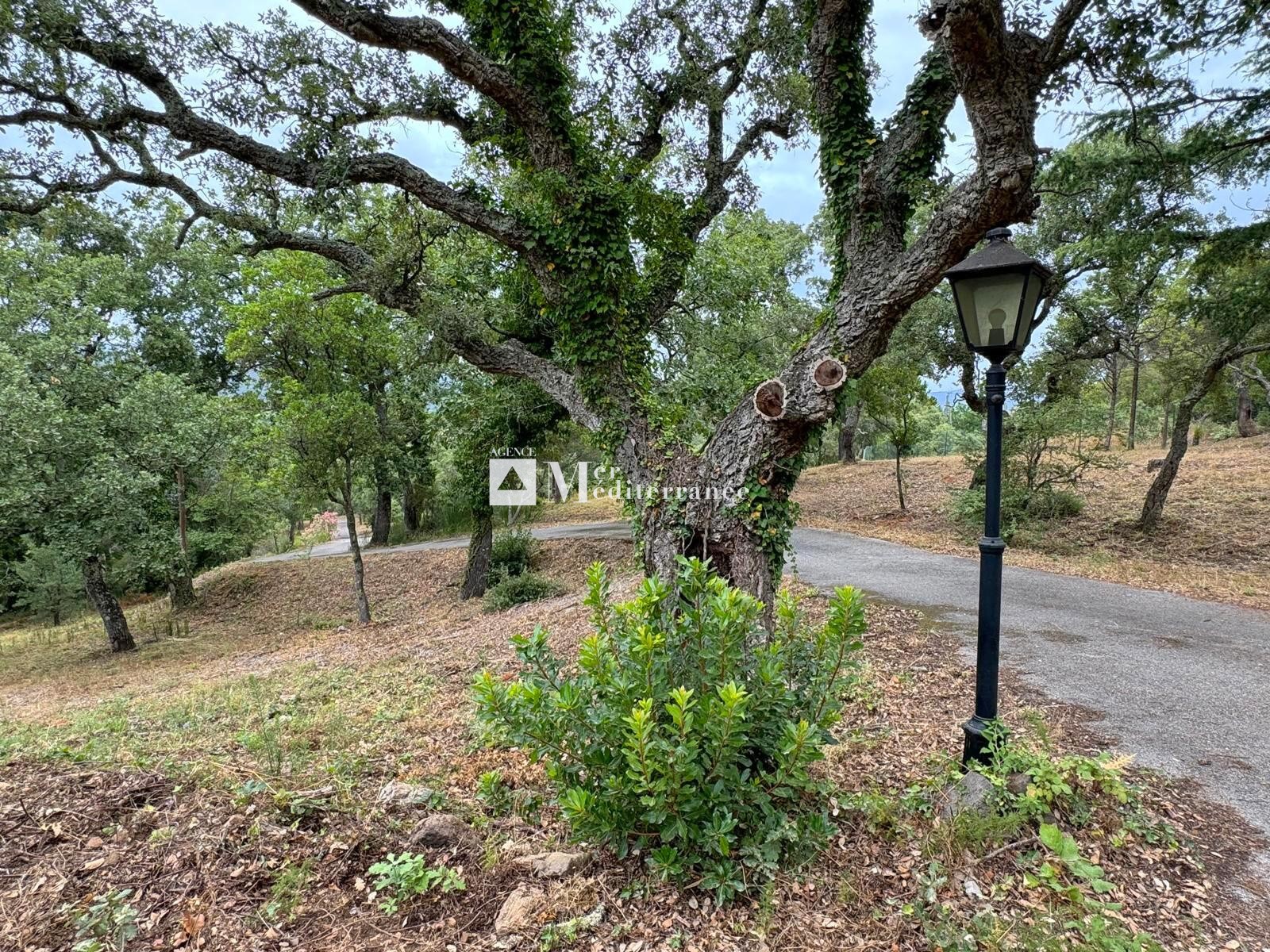 À VENDRE - PROPRIÉTÉ DE 6,3 HECTARES, MAISON DE PLAIN-PIED + APPARTEMENT SUR LA MÔLE (83310) — photo 7