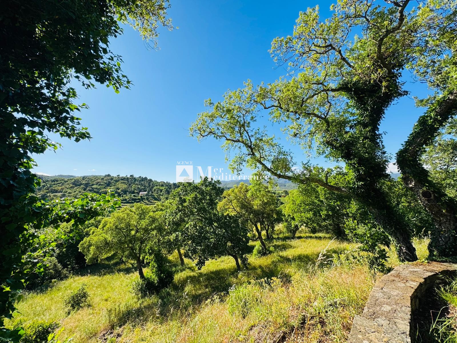 À VENDRE - PROPRIÉTÉ DE 6,3 HECTARES, MAISON DE PLAIN-PIED + APPARTEMENT SUR LA MÔLE (83310) — photo 12