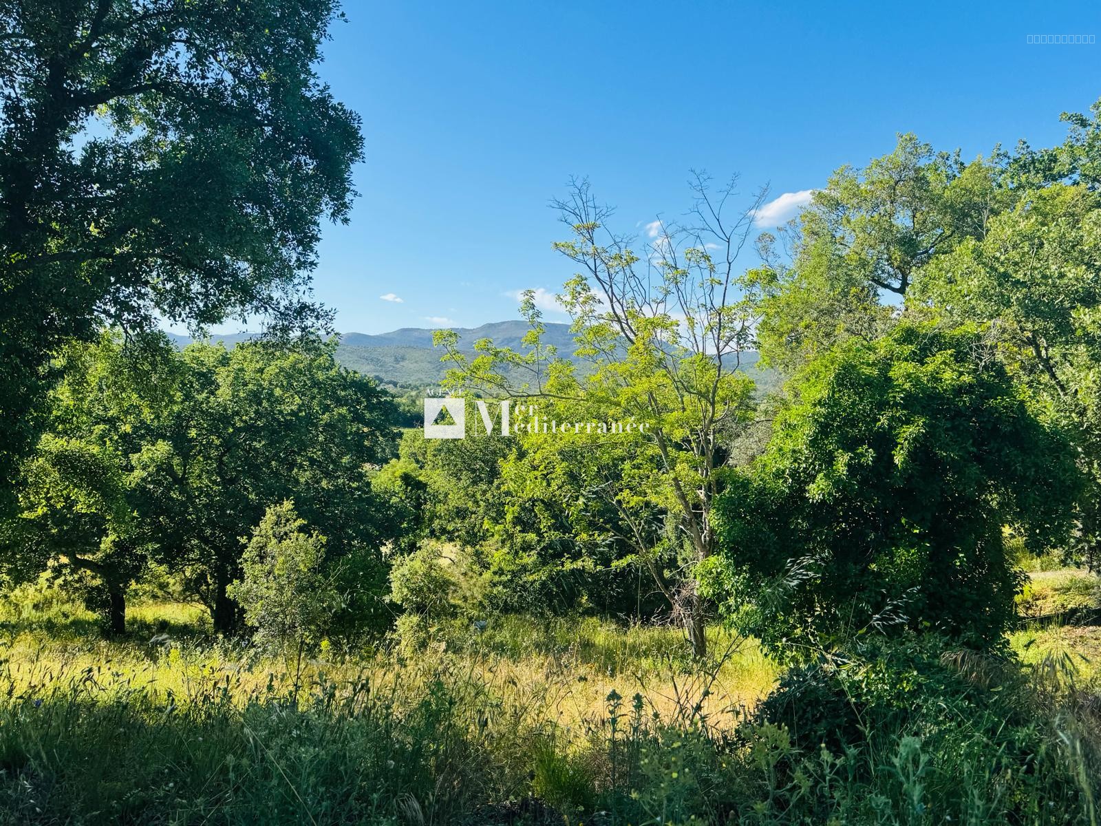 À VENDRE - PROPRIÉTÉ DE 6,3 HECTARES, MAISON DE PLAIN-PIED + APPARTEMENT SUR LA MÔLE (83310) — photo 13