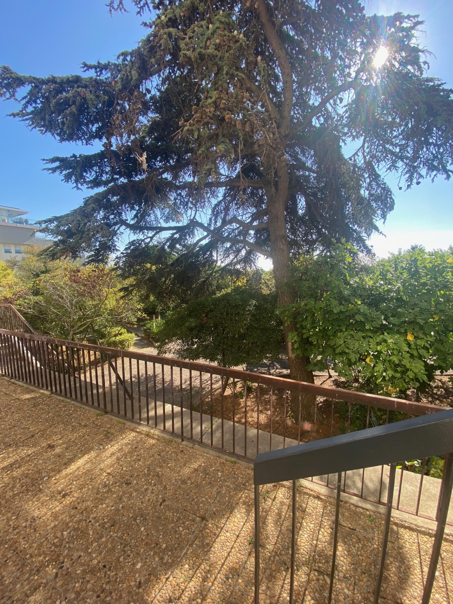 Appartement corniche vue mer — photo 2