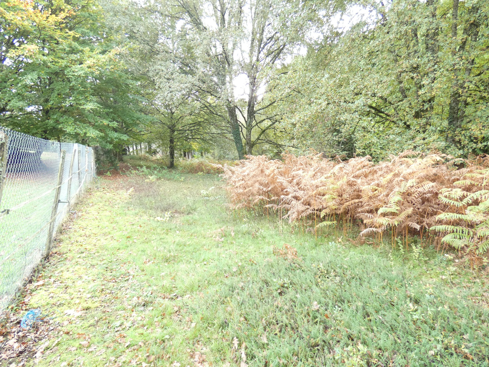 TERRAIN VIABILISE PANAZOL 6411 m2 — photo 4