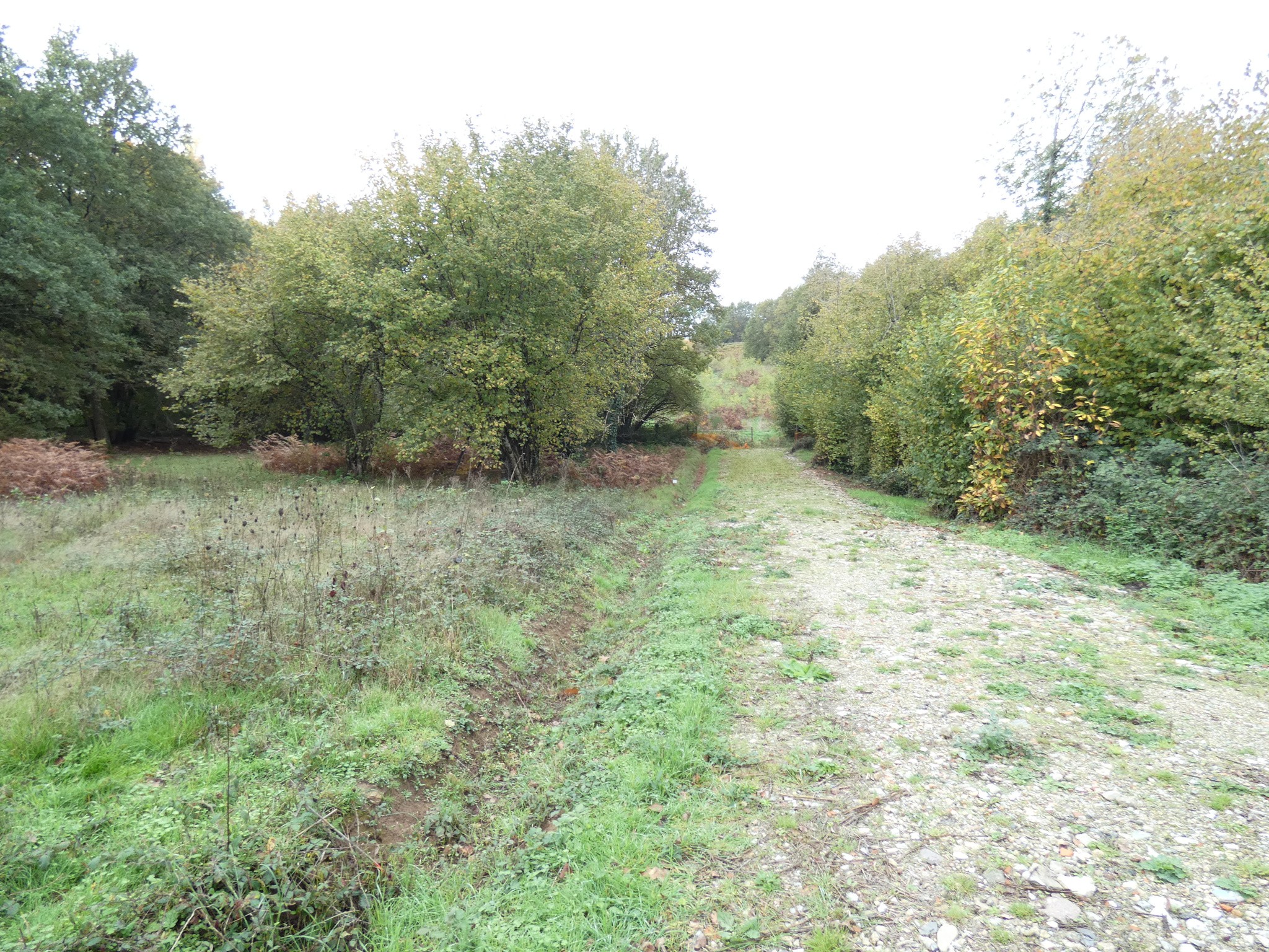 TERRAIN VIABILISE PANAZOL 6411 m2 — photo 3