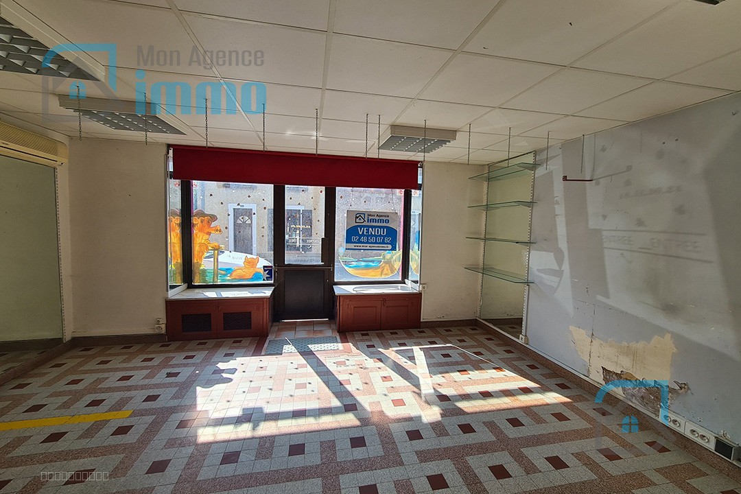 Massay - Ensemble immobilier avec local commercial, appartement, dépendances et garages — photo 2