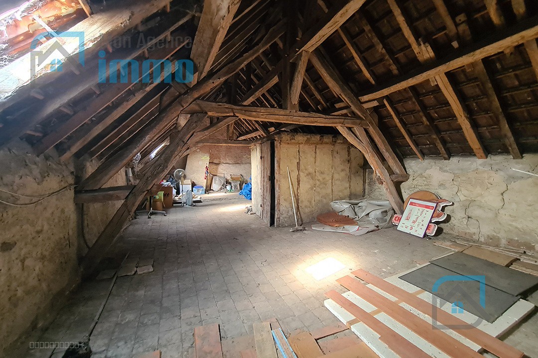 Massay - Ensemble immobilier avec local commercial, appartement, dépendances et garages — photo 8