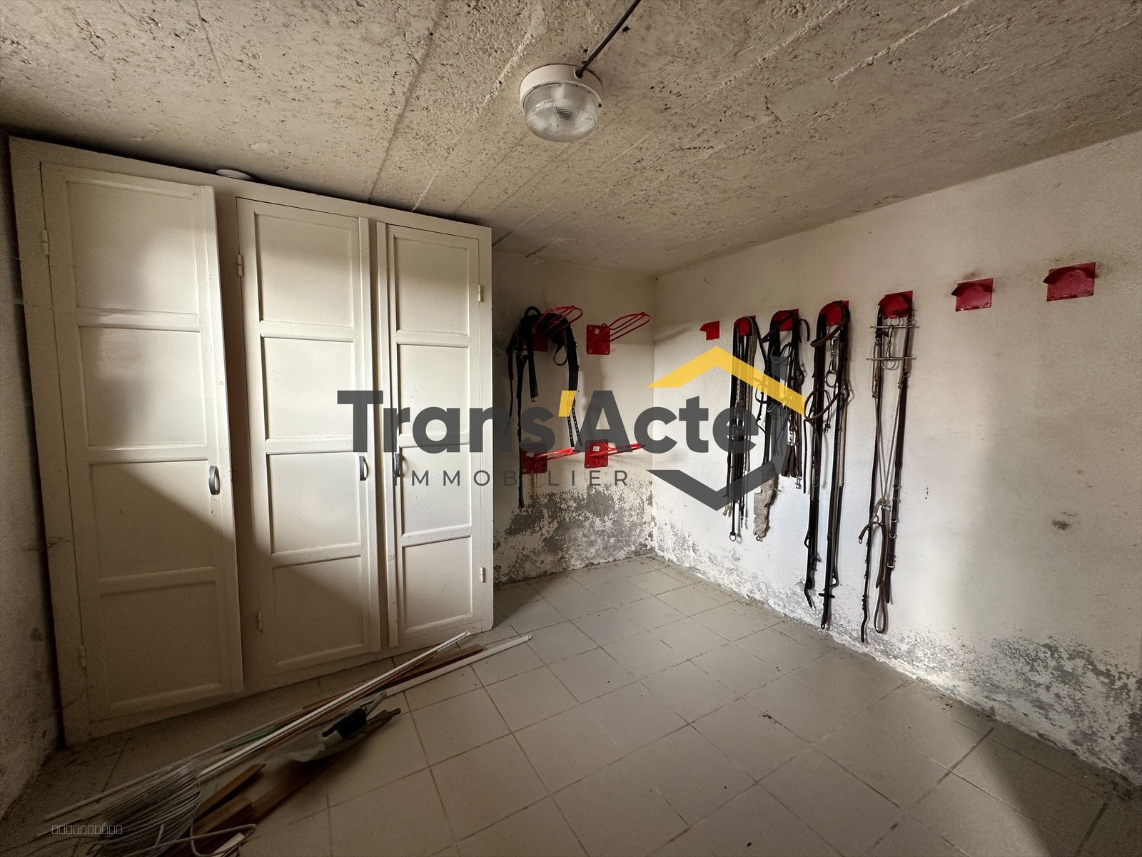 Propriété équestre — photo 16