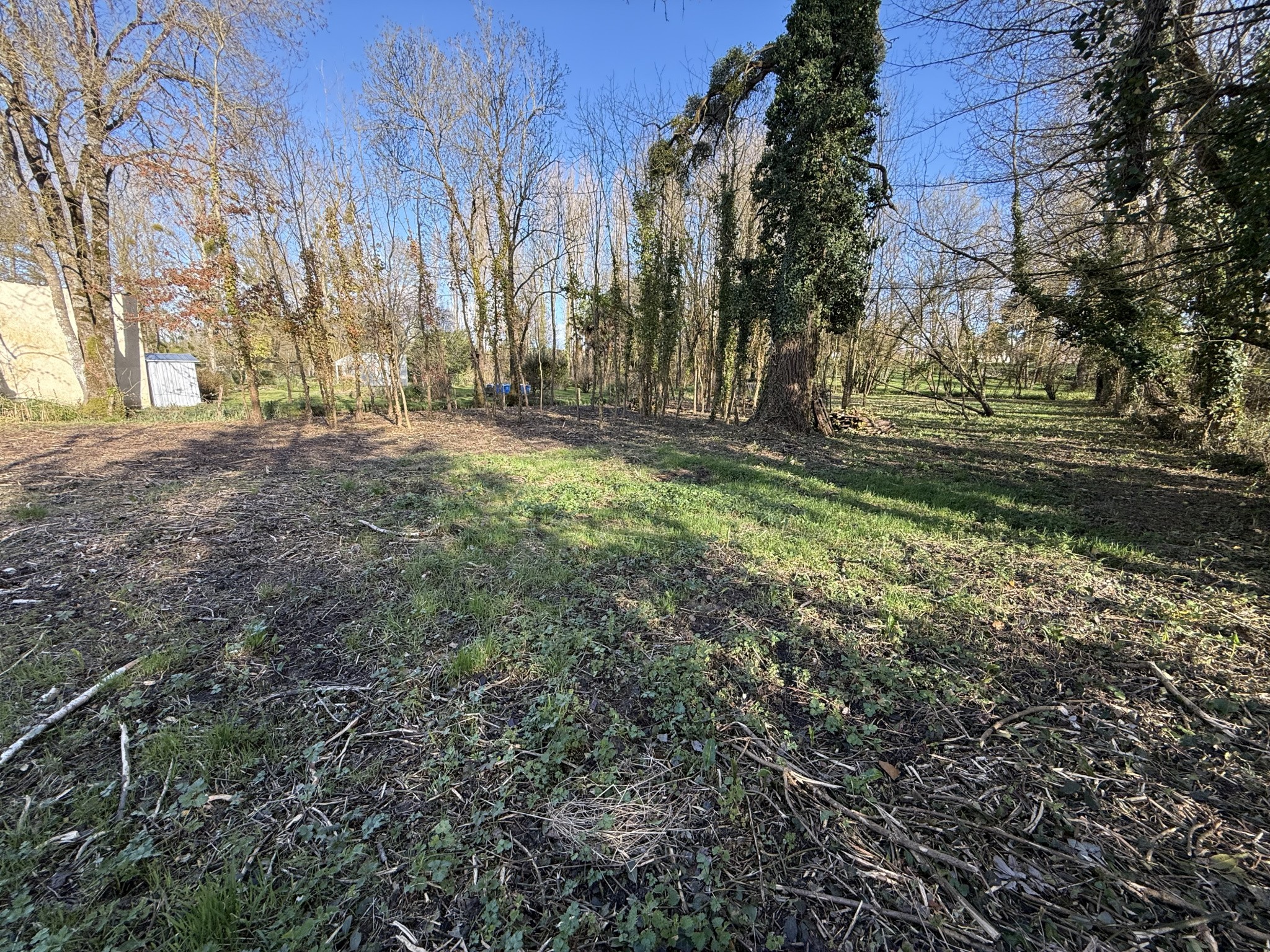 Terrain en vente à Cabariot (17) — photo 3