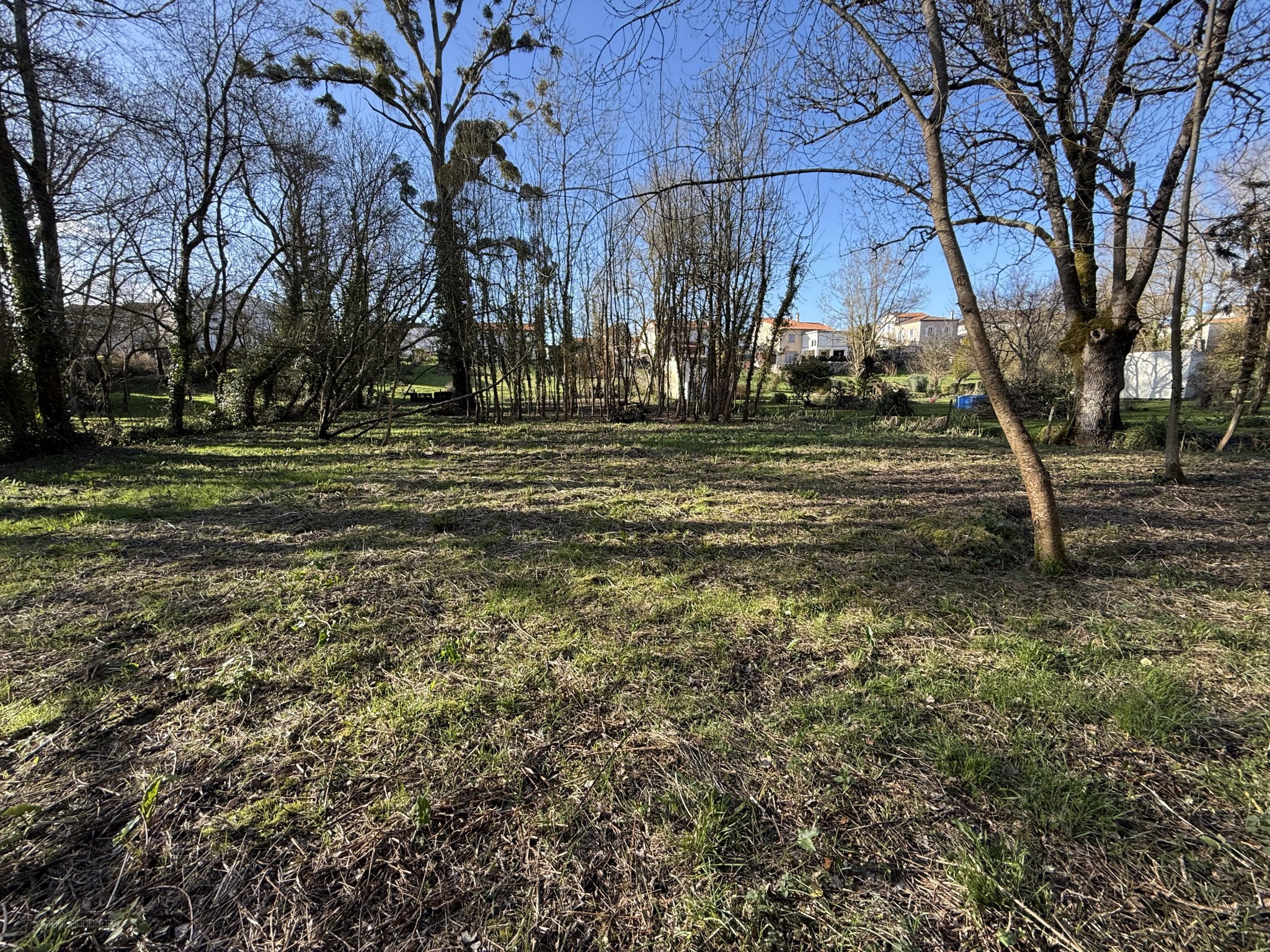 Terrain en vente à Cabariot (17) — photo 4