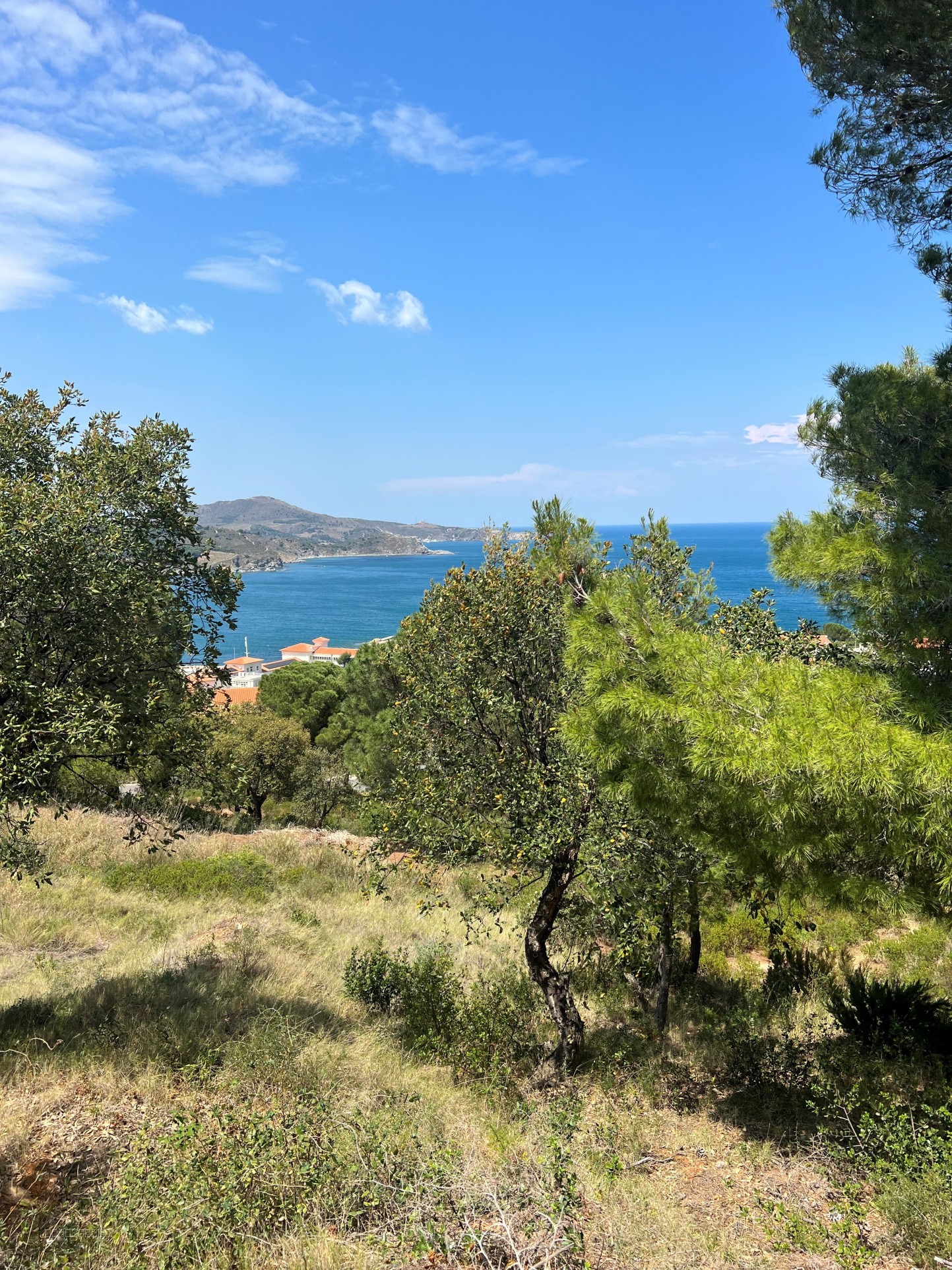 A BANYULS SUR MER, UNE VILLA NEUVE DE 105m2 — photo 4