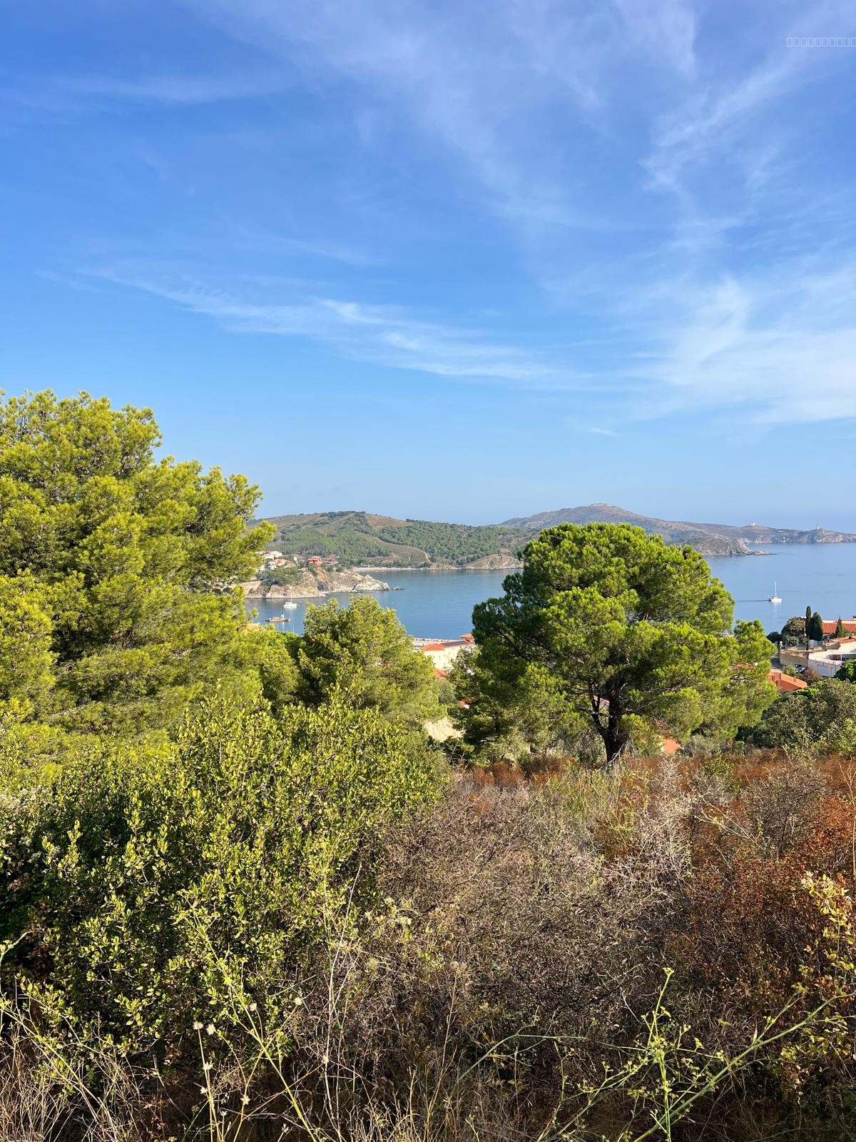 UNE VILLA A COSNTRUIRE,  SUR LA COTE VERMEILLE, PROCHE COLLIOURE — photo 5