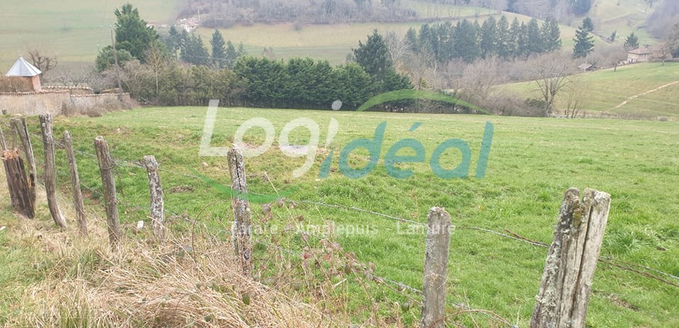 Centre Grandris, proche du village. Parcelle de 26003m2 dont 13 000m2 constructible — photo 2