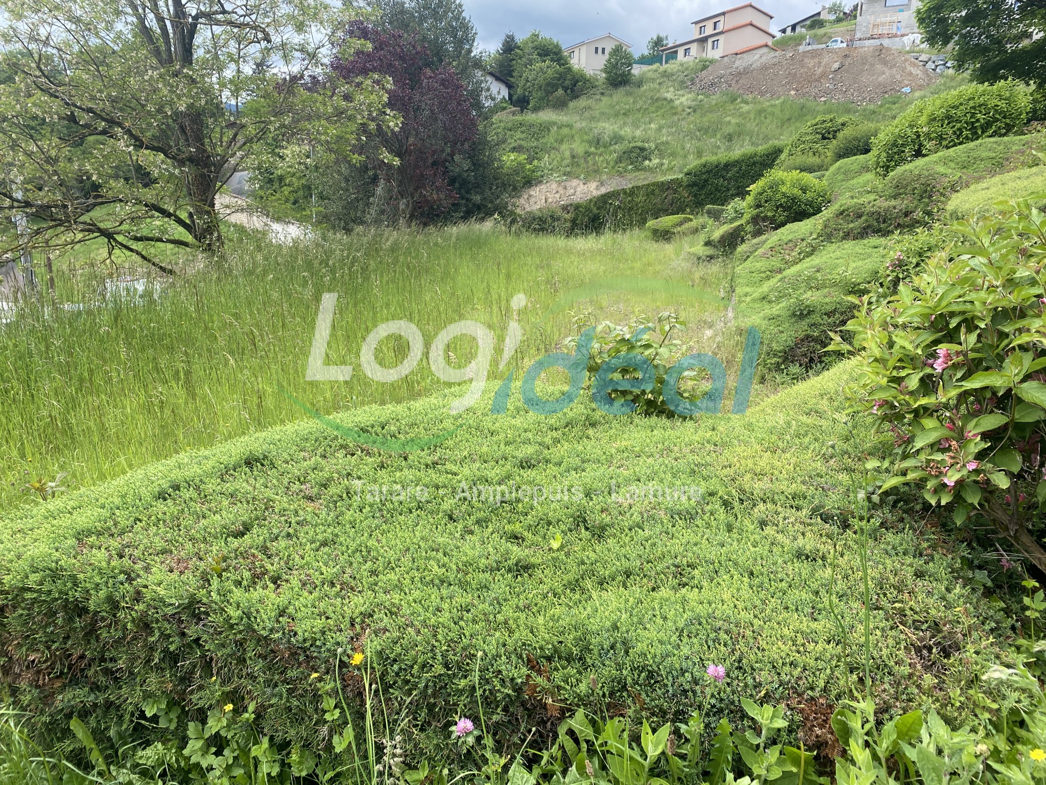 Beau terrain — photo 5