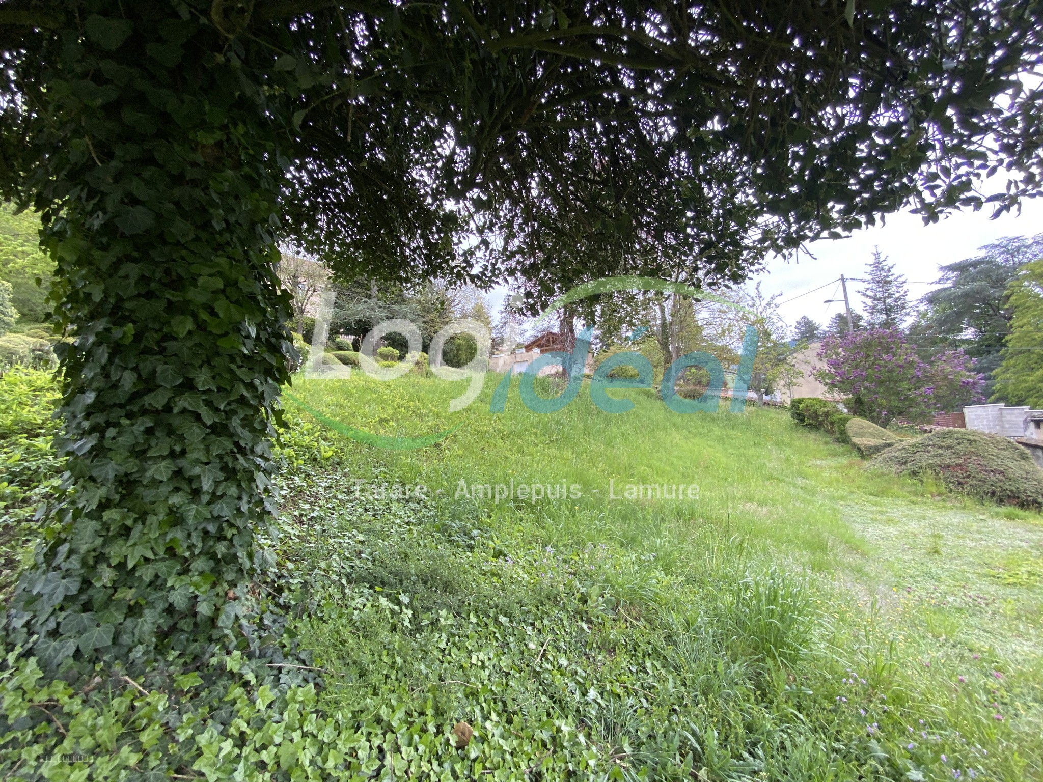 Beau terrain — photo 2
