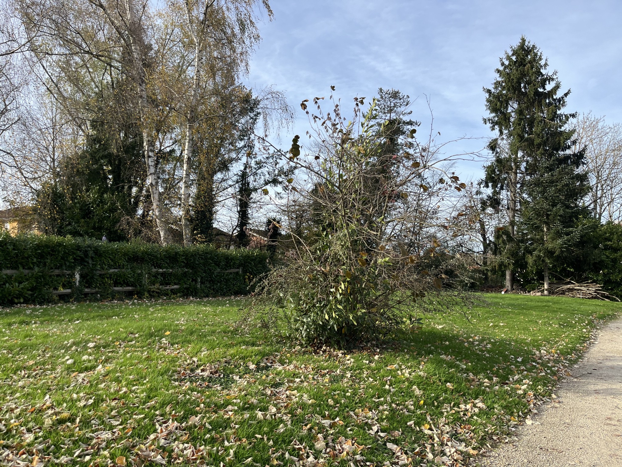 Terrain à bâtir proche du centre de Bourg-en-Bresse — photo 3