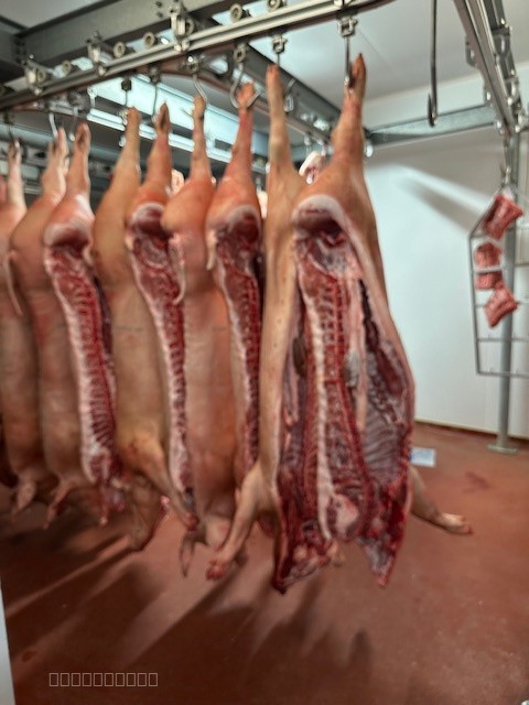 À vendre   Boucherie Charcuterie Traiteur Artisanale   Sud Saône-et-Loire (71) — photo 8