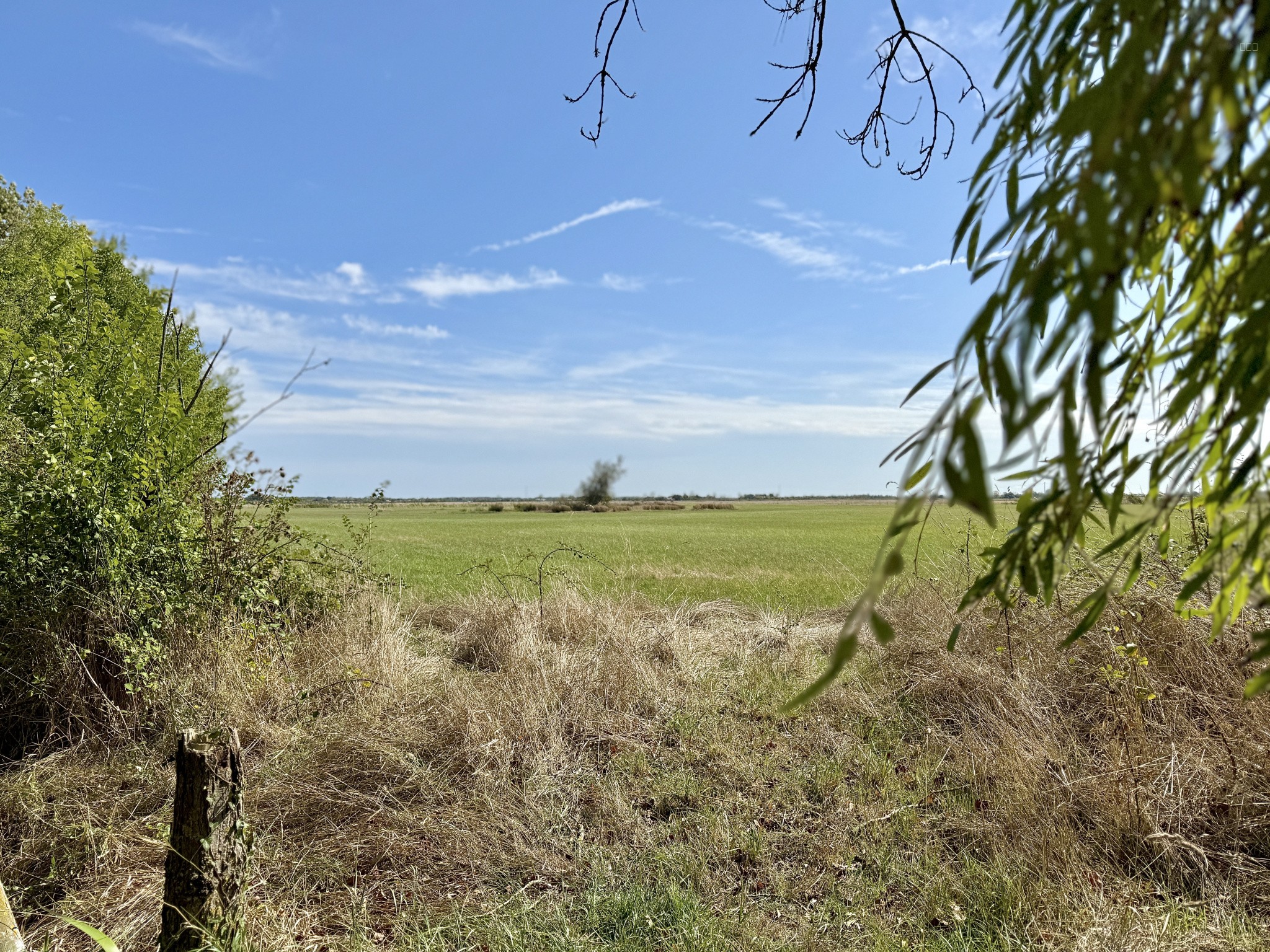 'CHAMPÊTRE' Longère maraîchine rénovée avec goût — photo 13
