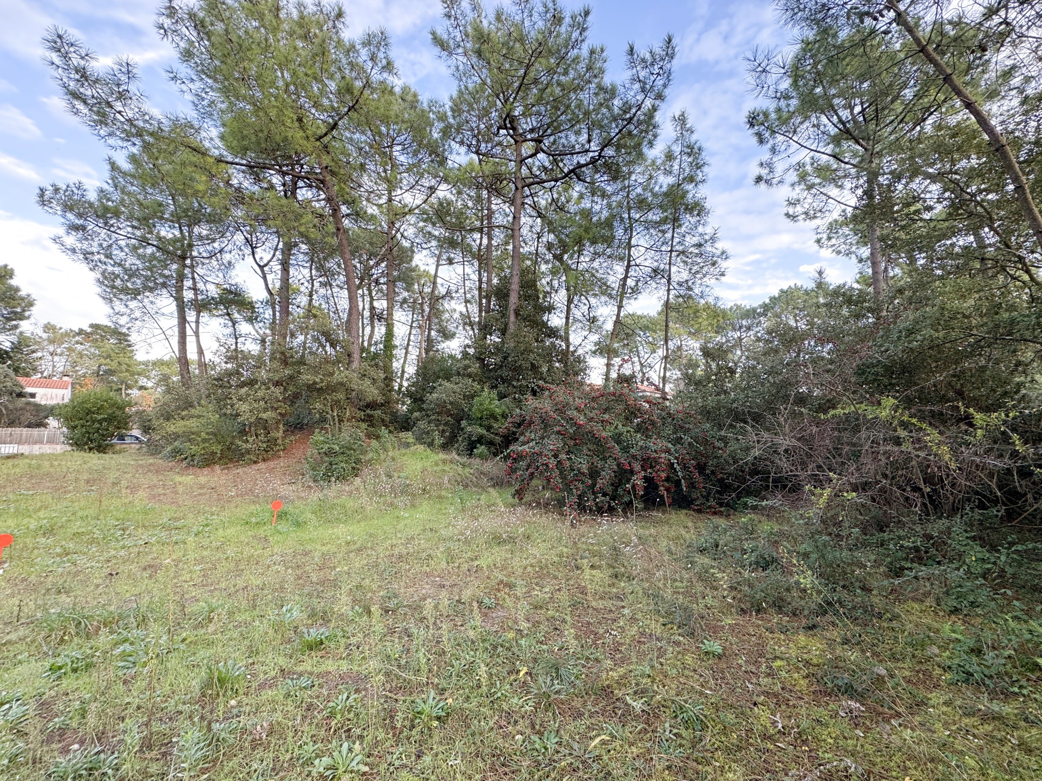 'POMME DE PIN' Terrain constructible proche forêt — photo 2