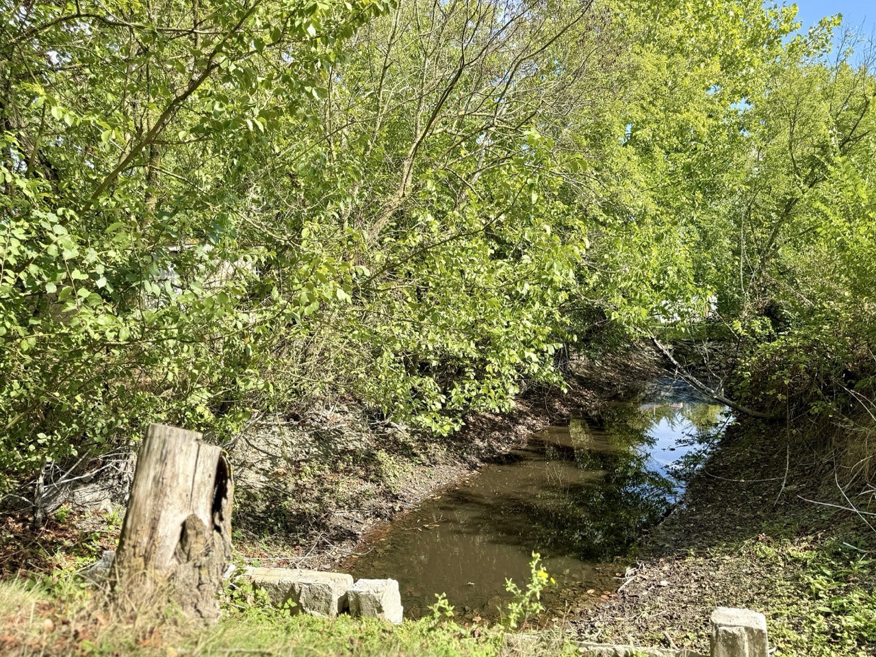'CHAMPÊTRE' Longère maraîchine rénovée avec goût — photo 14