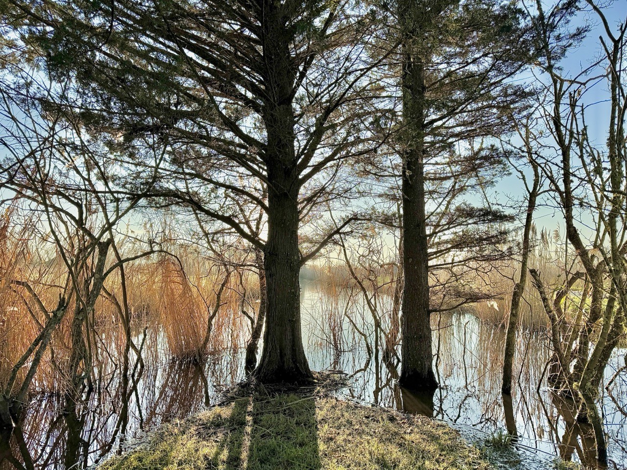 'CHAMPÊTRE' Longère maraîchine rénovée avec goût — photo 11