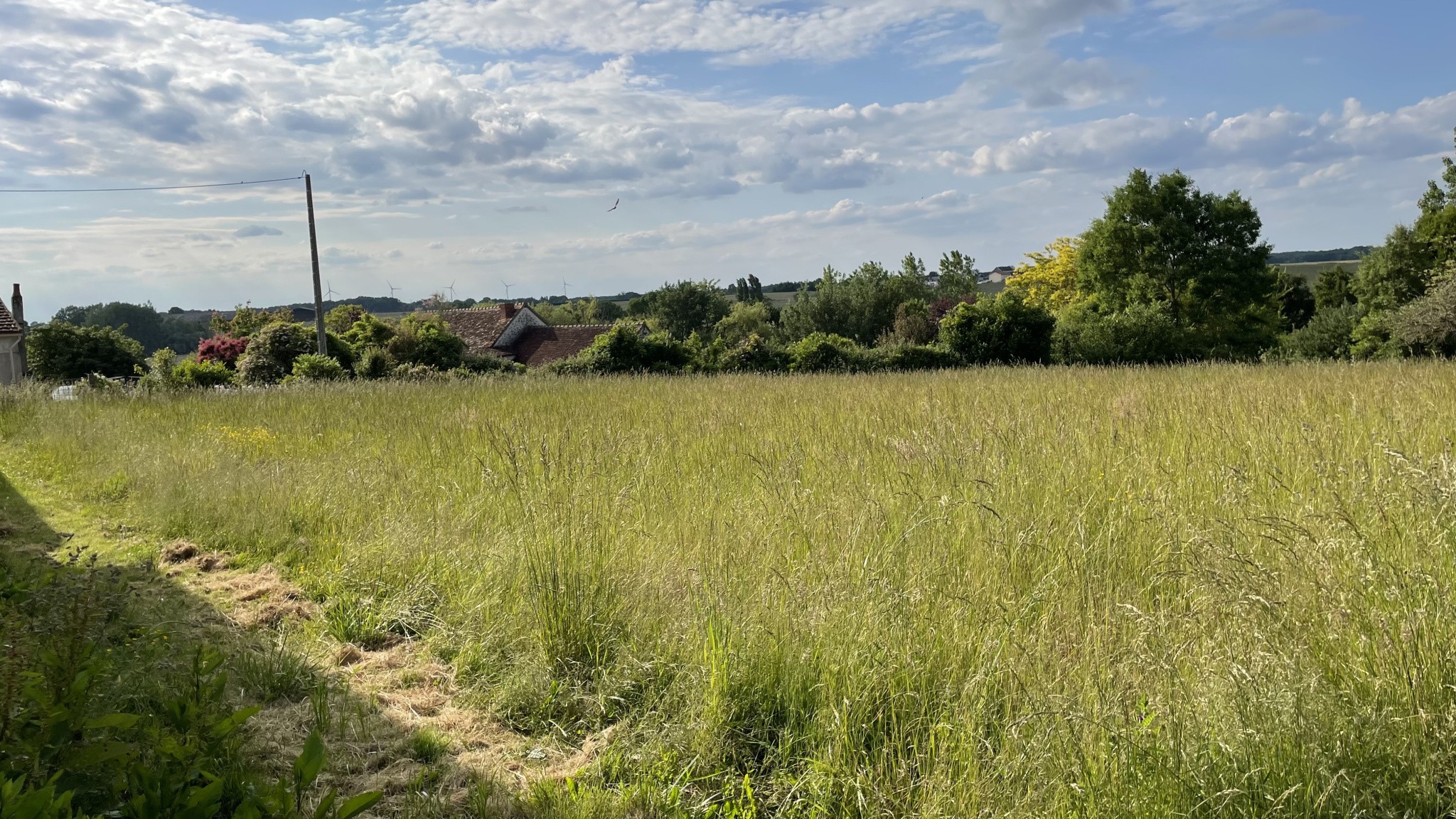 TERRAIN CONCTRUCTIBLE NON VIABILISE COUSSAY LES BOIS — photo 1