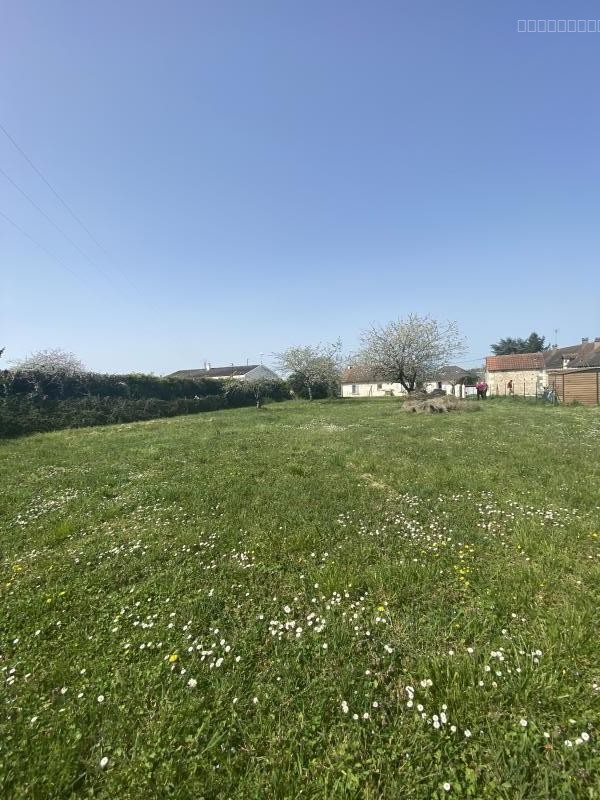 Terrain constructible de 2200m2 environ à Targé — photo 3