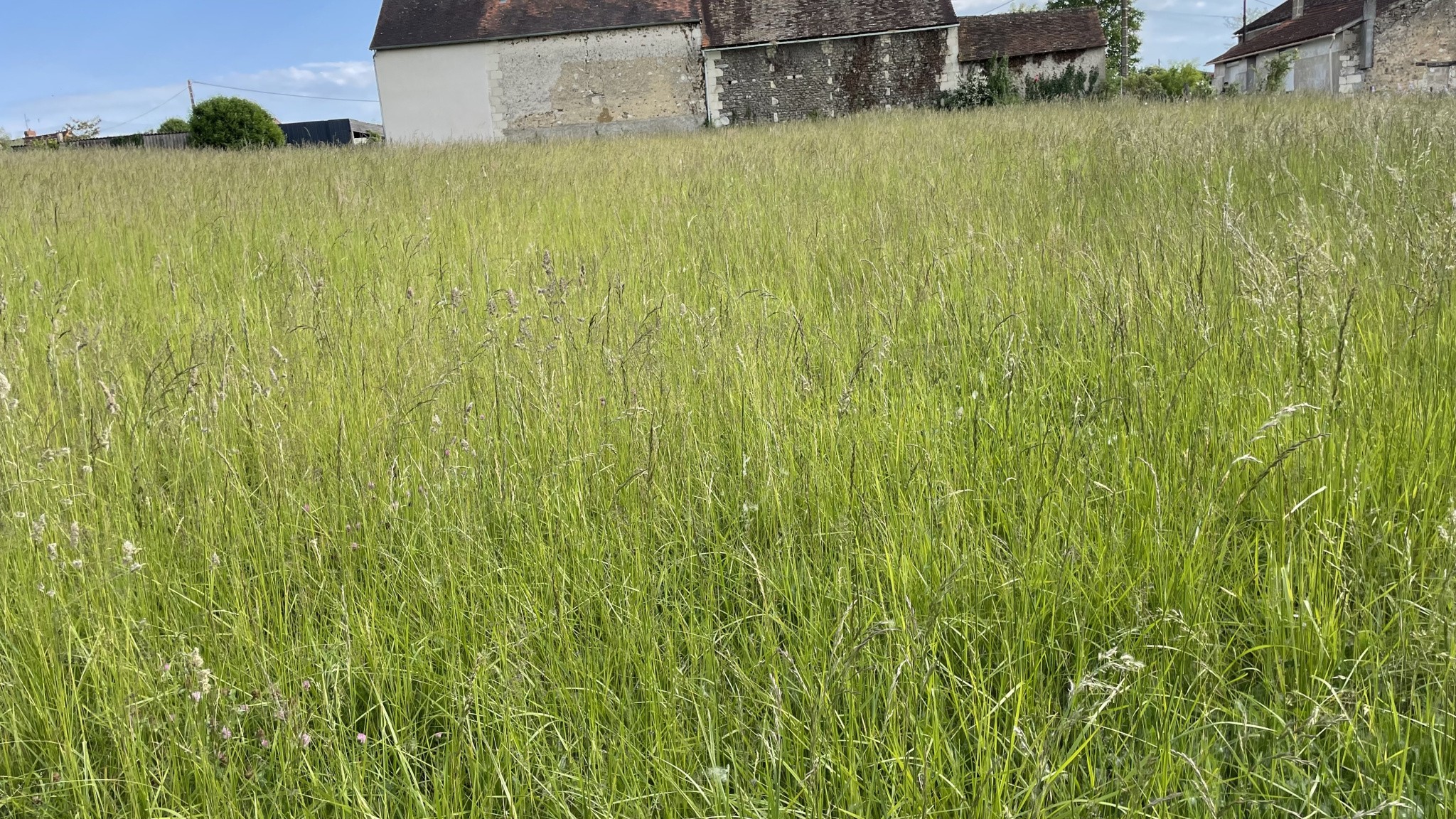 TERRAIN CONCTRUCTIBLE NON VIABILISE COUSSAY LES BOIS — photo 3