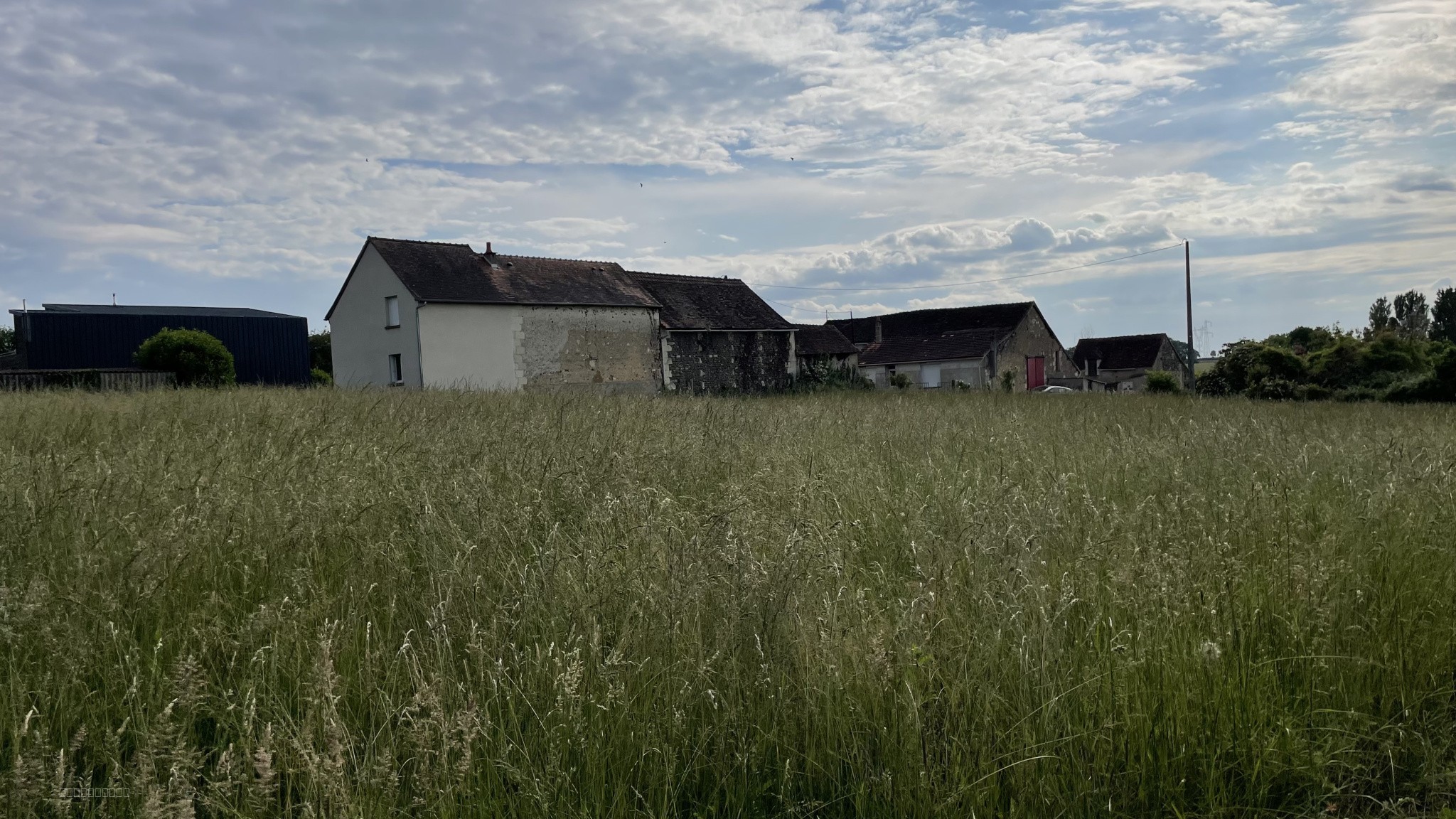 TERRAIN CONCTRUCTIBLE NON VIABILISE COUSSAY LES BOIS — photo 4