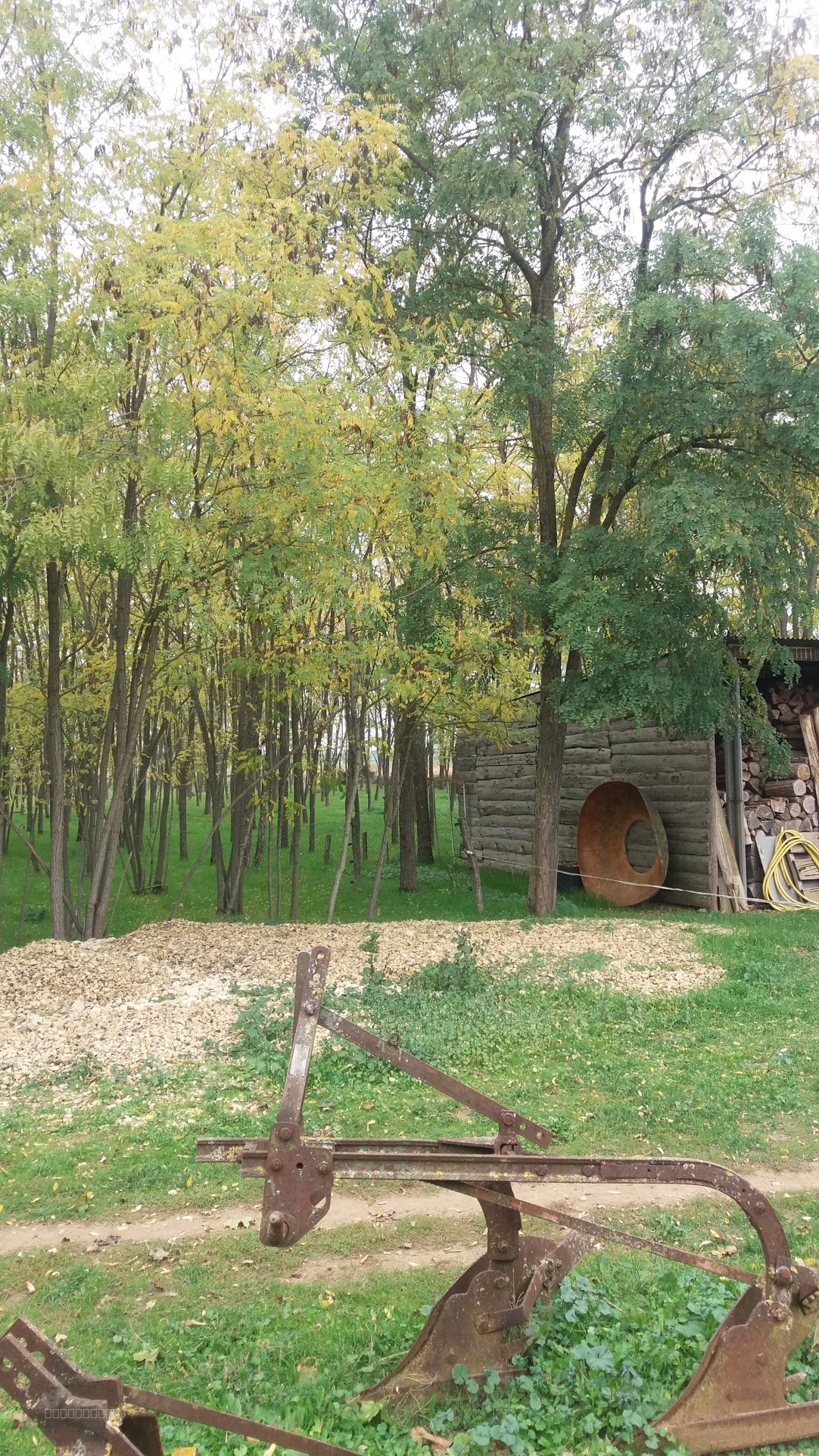 Belle maison de campagne T7 sur un terrain de 16 200 M2 — photo 10