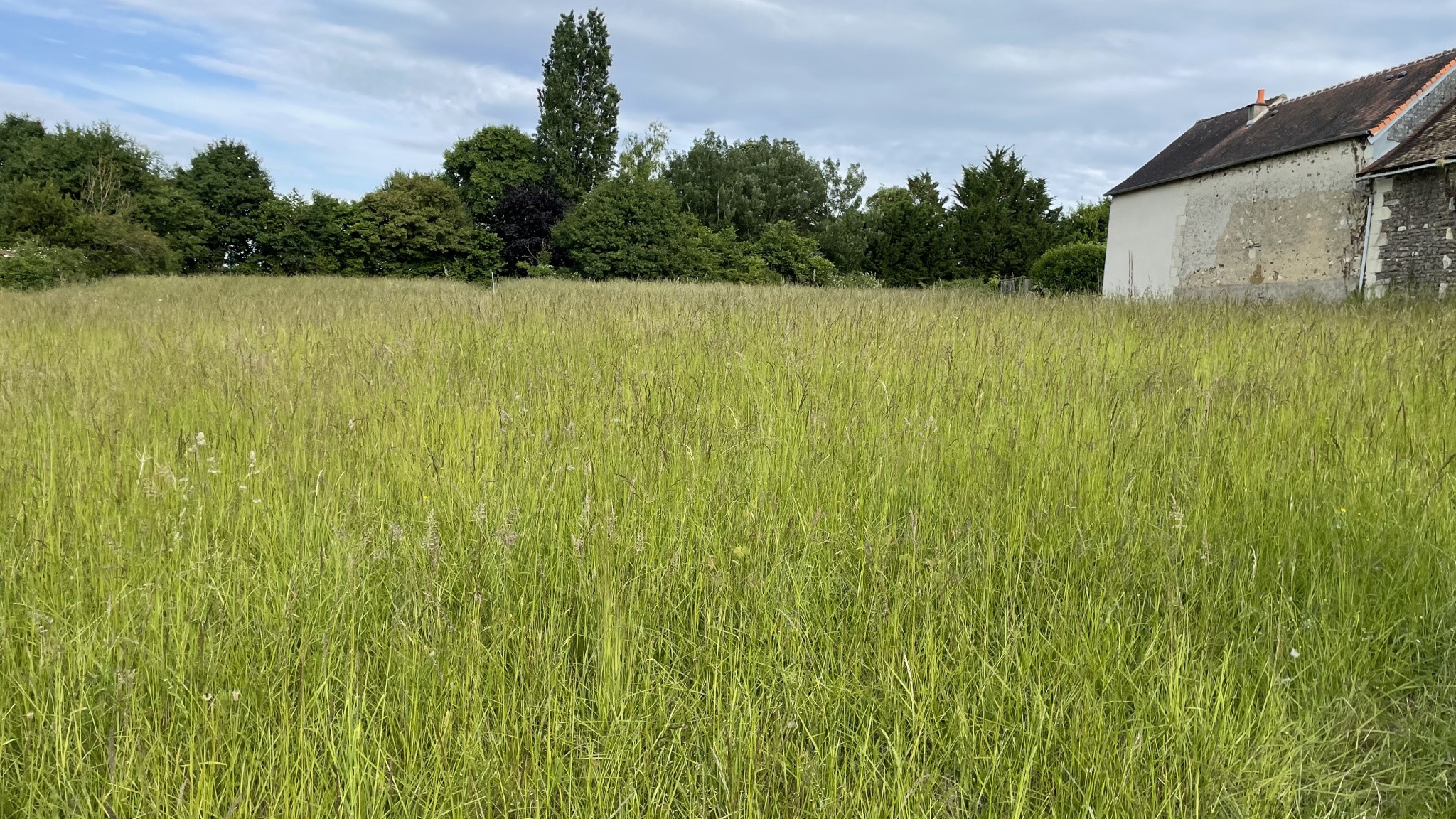TERRAIN CONCTRUCTIBLE NON VIABILISE COUSSAY LES BOIS — photo 2